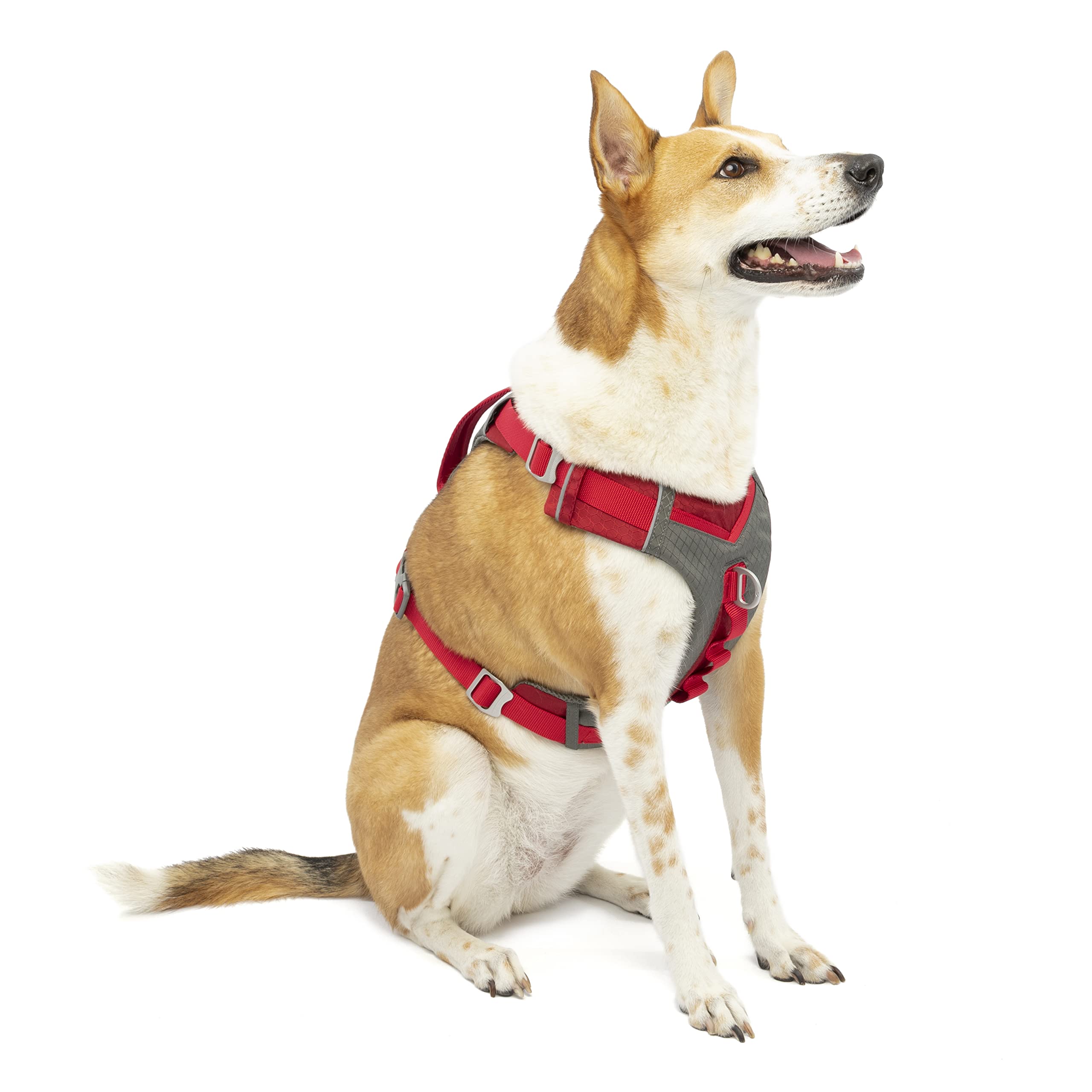 Kurgo Journey Air Dog Harness, Vest Harnesses For Dogs, Pet Hiking Harness For Running & Walking, Reflective, Padded, Includes Control Handle, No Pull Front Clip (Red, Large)