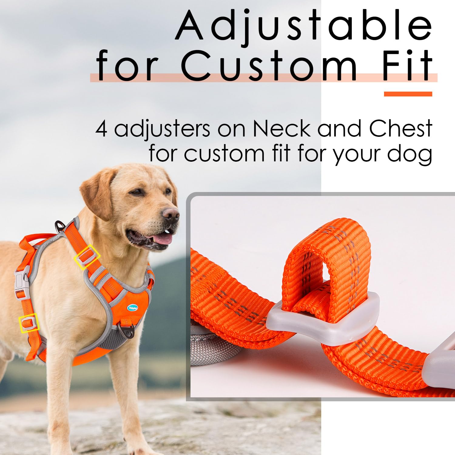 Thinkpet No Pull Harness Breathable Sport Harness With Handle-Dog Harnesses Reflective Adjustable For Medium Large Dogs,Back/Front Clip For Easy Control M Neon Orange