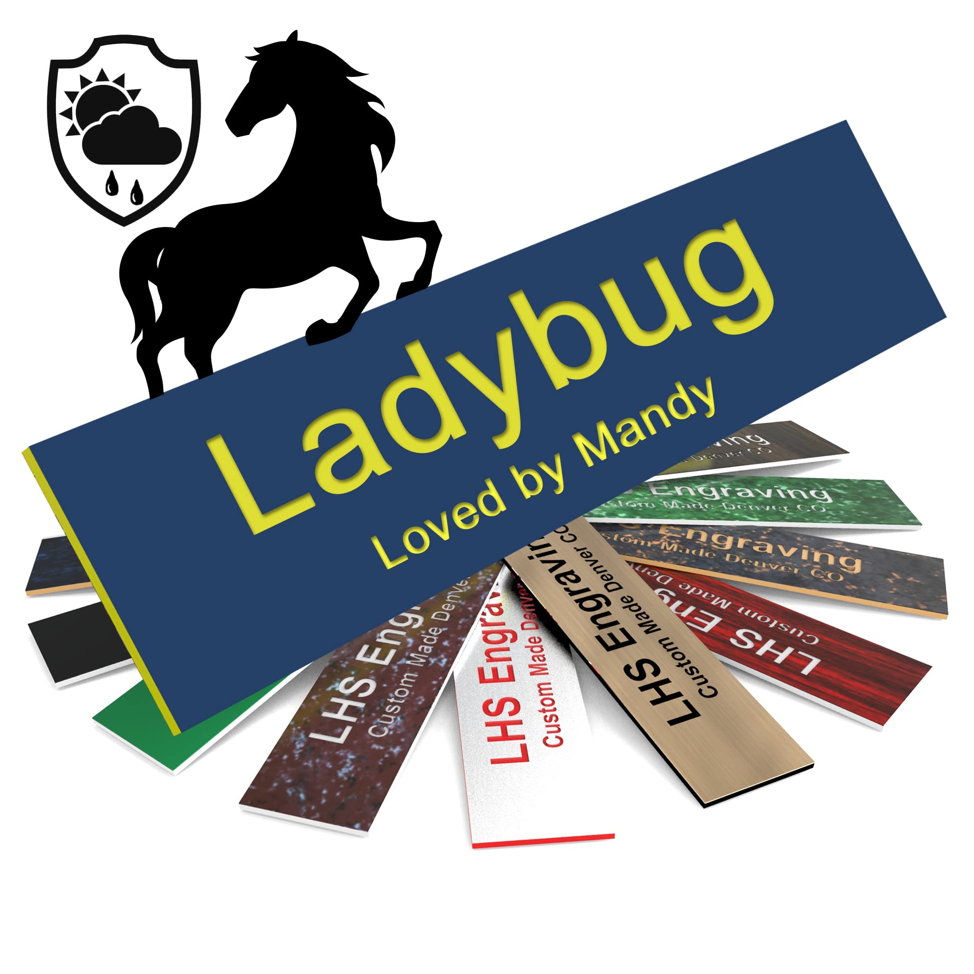 Lhs | Horse Stall Name Plate, 2X12 Personalized Stall Signs, Uv Protected, All Weather Adhesive, Hanging, Mounting Or Other, Blu
