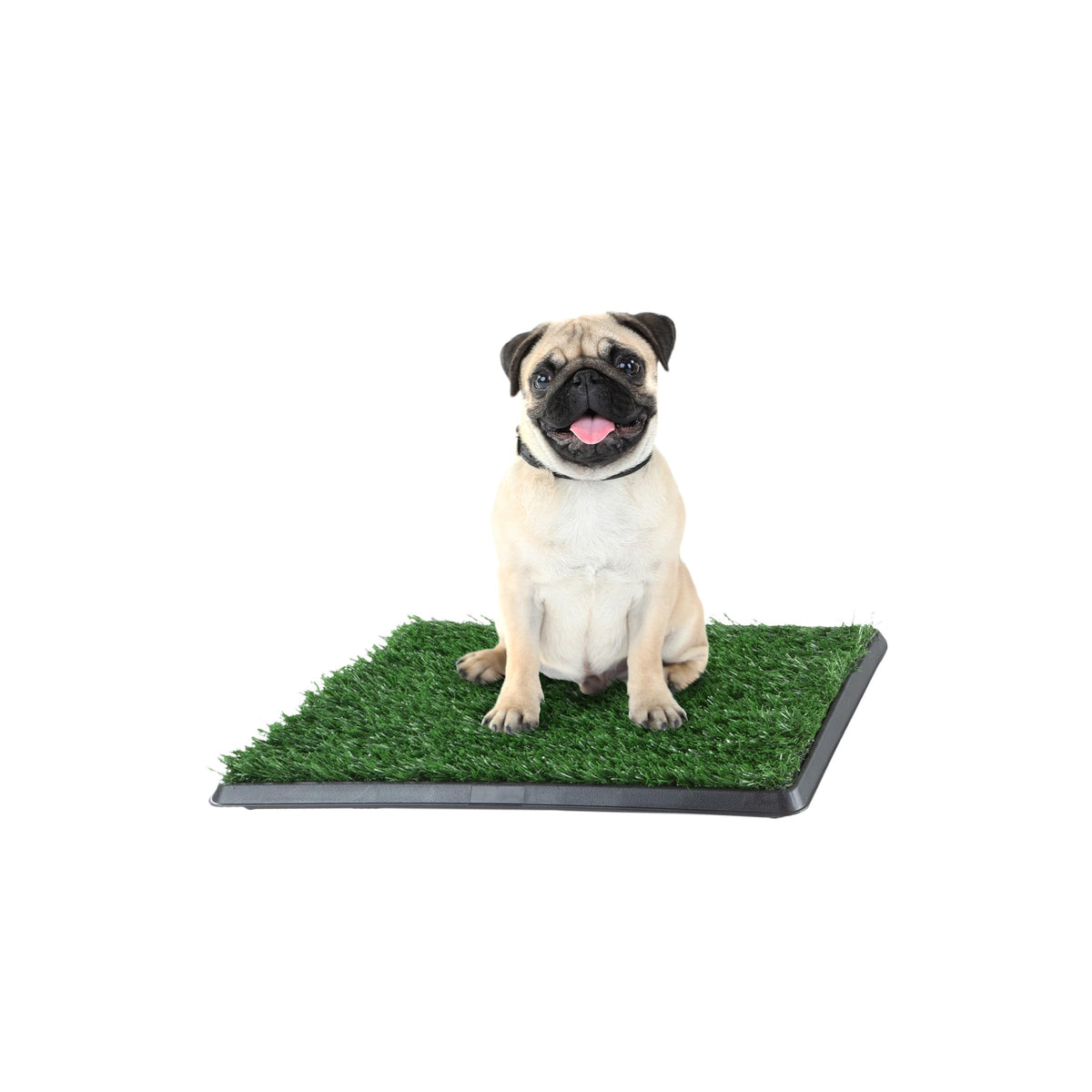 Artificial Grass Puppy Pee Pad For Dogs And Small Pets - 16X20 Reusable 3-Layer Training Potty Pad With Tray - Dog Housebreaking