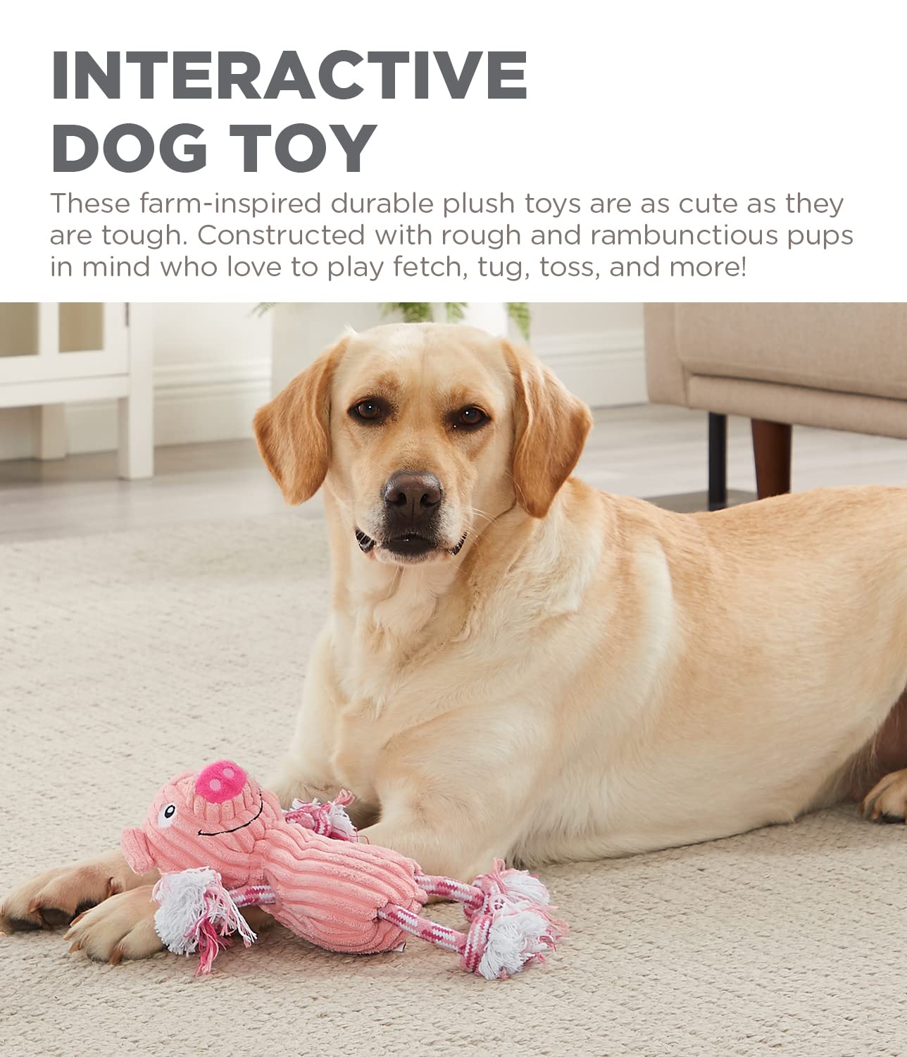 Outward Hound By Charming Pet Ranch Roperz Pig Plush Squeaky Dog Toy
