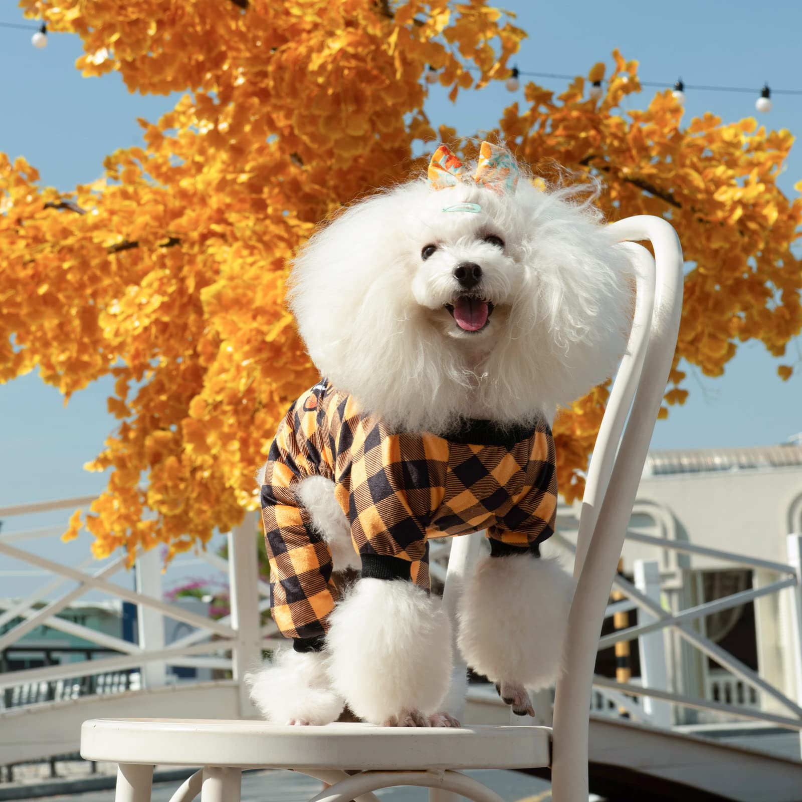 Cutebone Thanksgiving Dog Pajamas Costumes Pet Clothes Cat Apparel Shirt Winter Holiday Cute Pjs Outfits For Doggie Onesies P261Xs