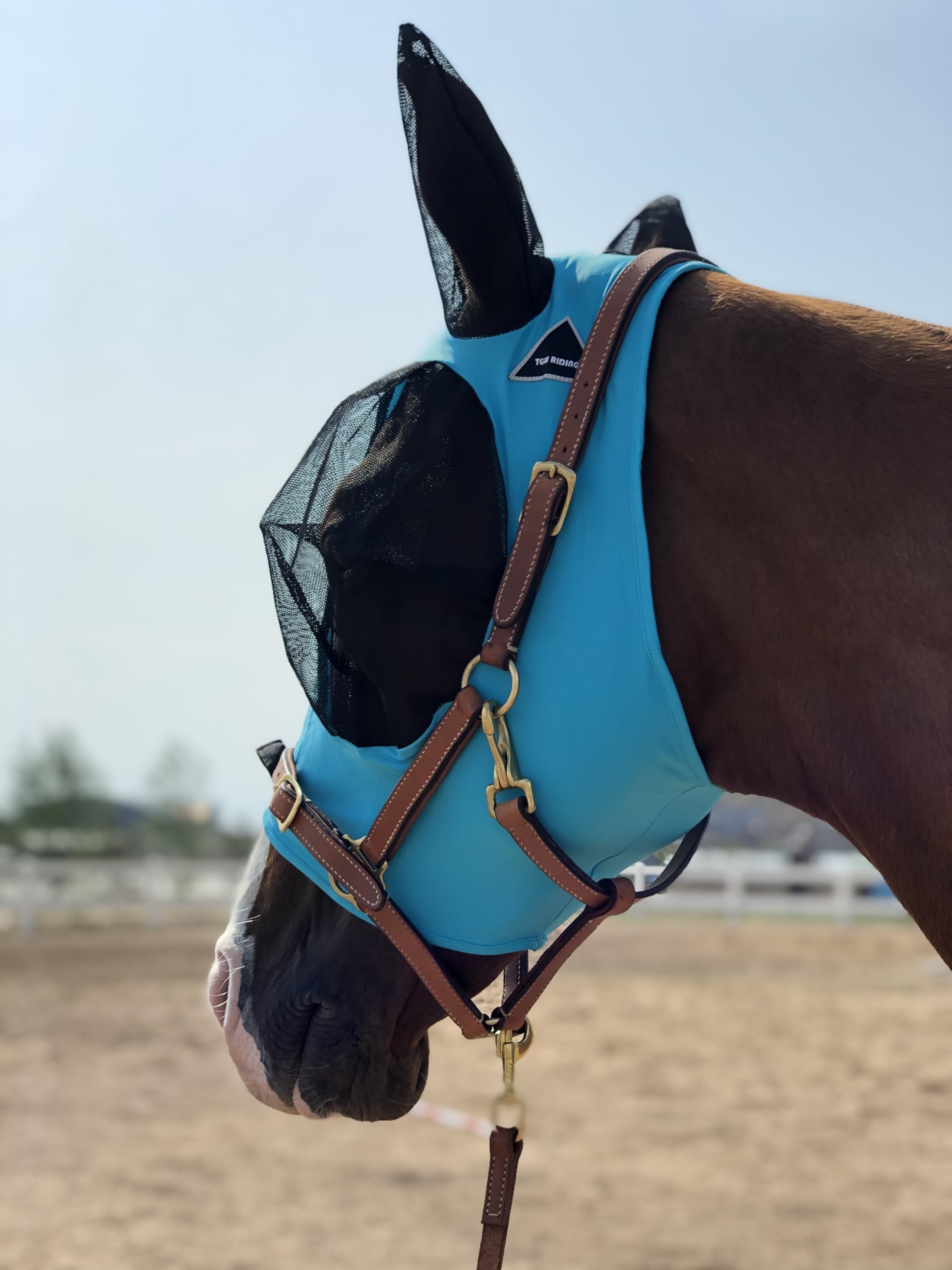 Horse Fly Mask Super Comfort Elasticity Horse Fly Mask with Ears We Only Make Products That Horses Like (Pacific Blue, L)
