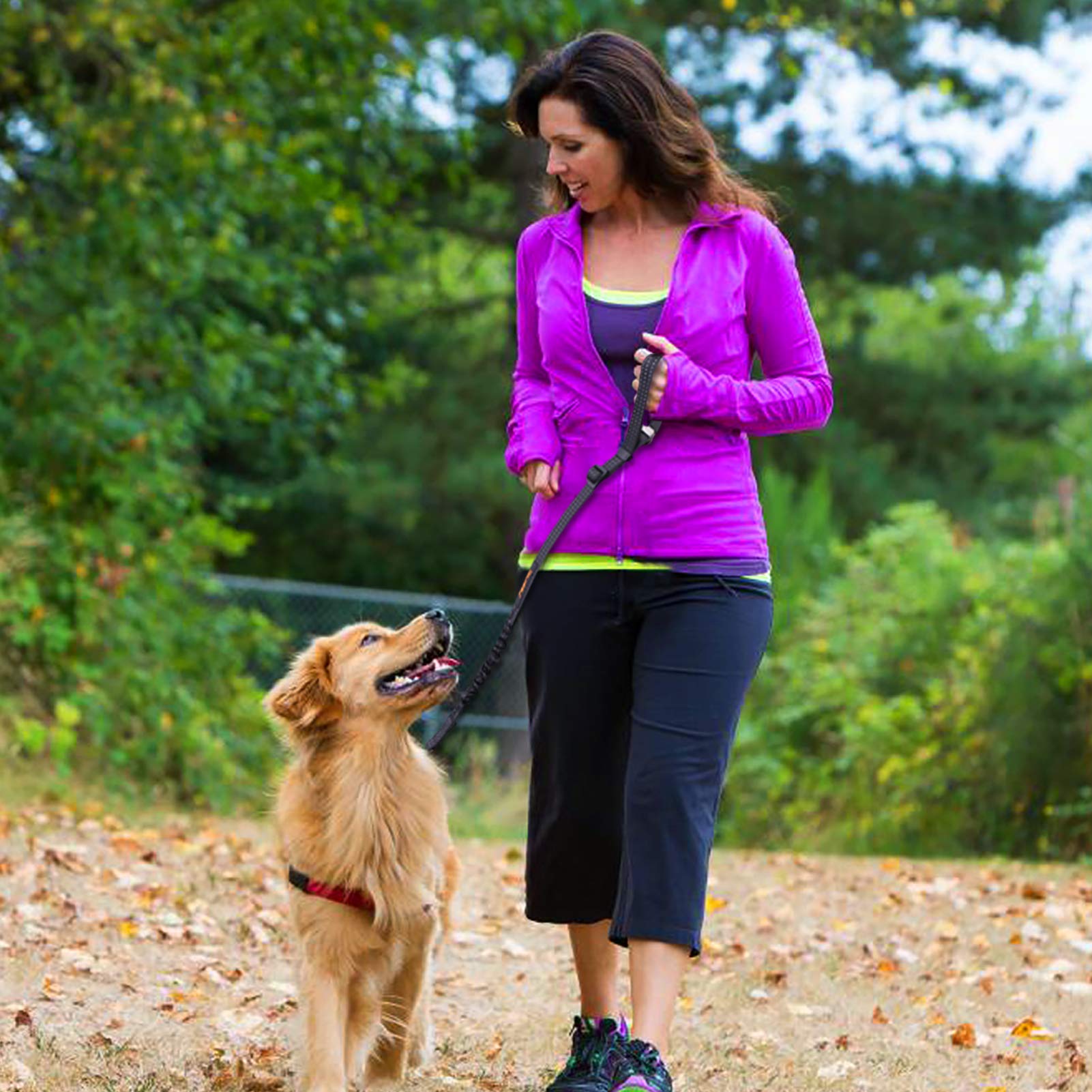 iBuddy Dog Seat Belts for Small/Medium/Large Dogs - Adjustable Nylon Safety Belt with Dual Bolt Hook - 2 Pack (Orange)