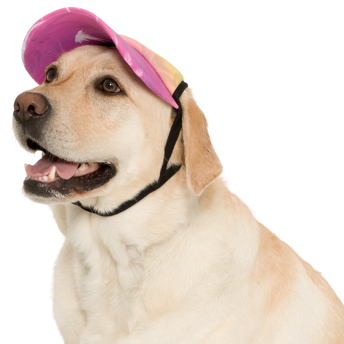 PlayaPup Dog Sun Visor, Palm Tree Pink, Medium