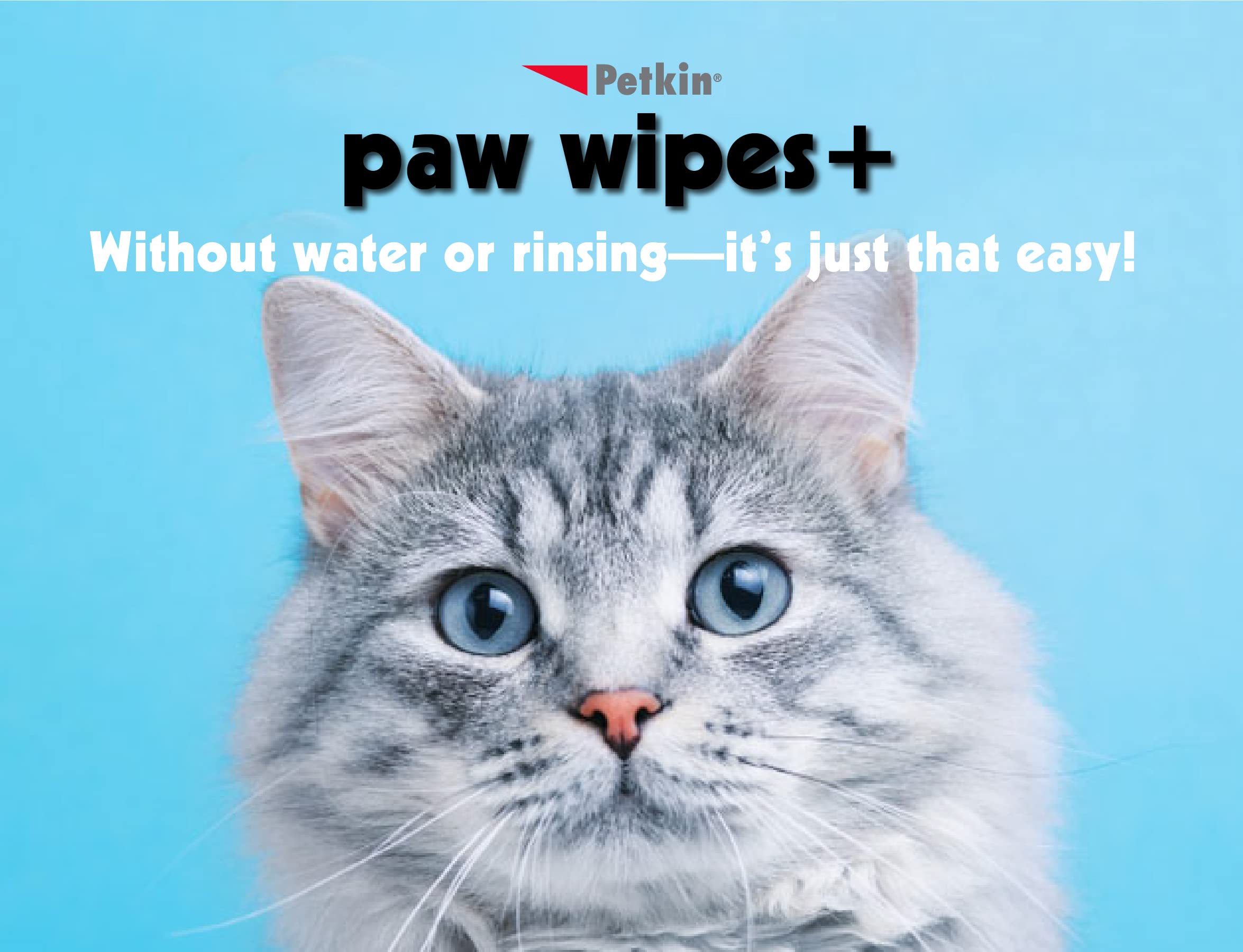 Petkin Paw Wipes Plus, 100 Orange Scented Wipes - Absorbent Pet Paw Wipes Remove Daily Dirt & Odors - Enriched With Paw Balm Protectant - Easy To Use Pet Wipes For Dogs, Cats, Puppies & Kittens