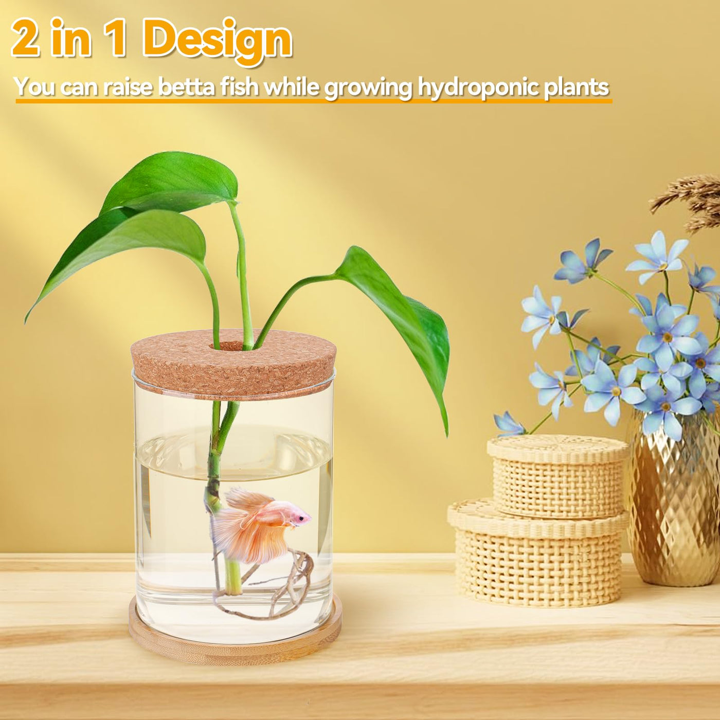 money plant in betta fish tank Desktop Fish Bowl Glass- Small Betta Fish Tank With Lid, Clear Hydropo – Petocart