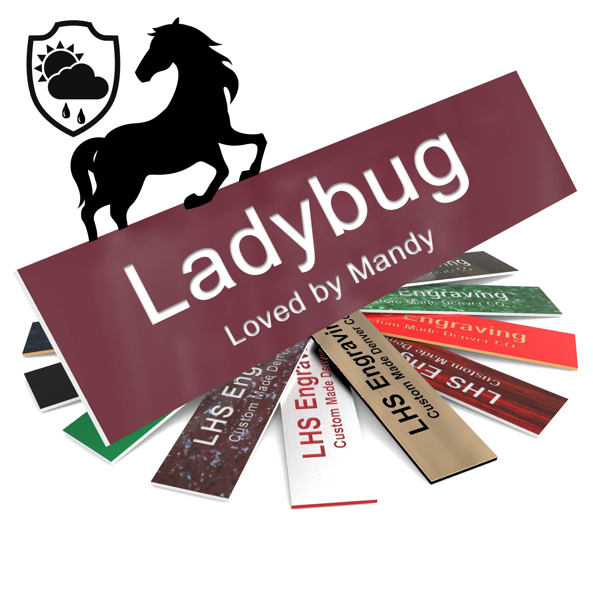 Lhs | Horse Stall Name Plate, 2X6 Personalized Stall Signs, Uv Protected, All Weather Adhesive, Hanging, Mounting Or Other, Burg
