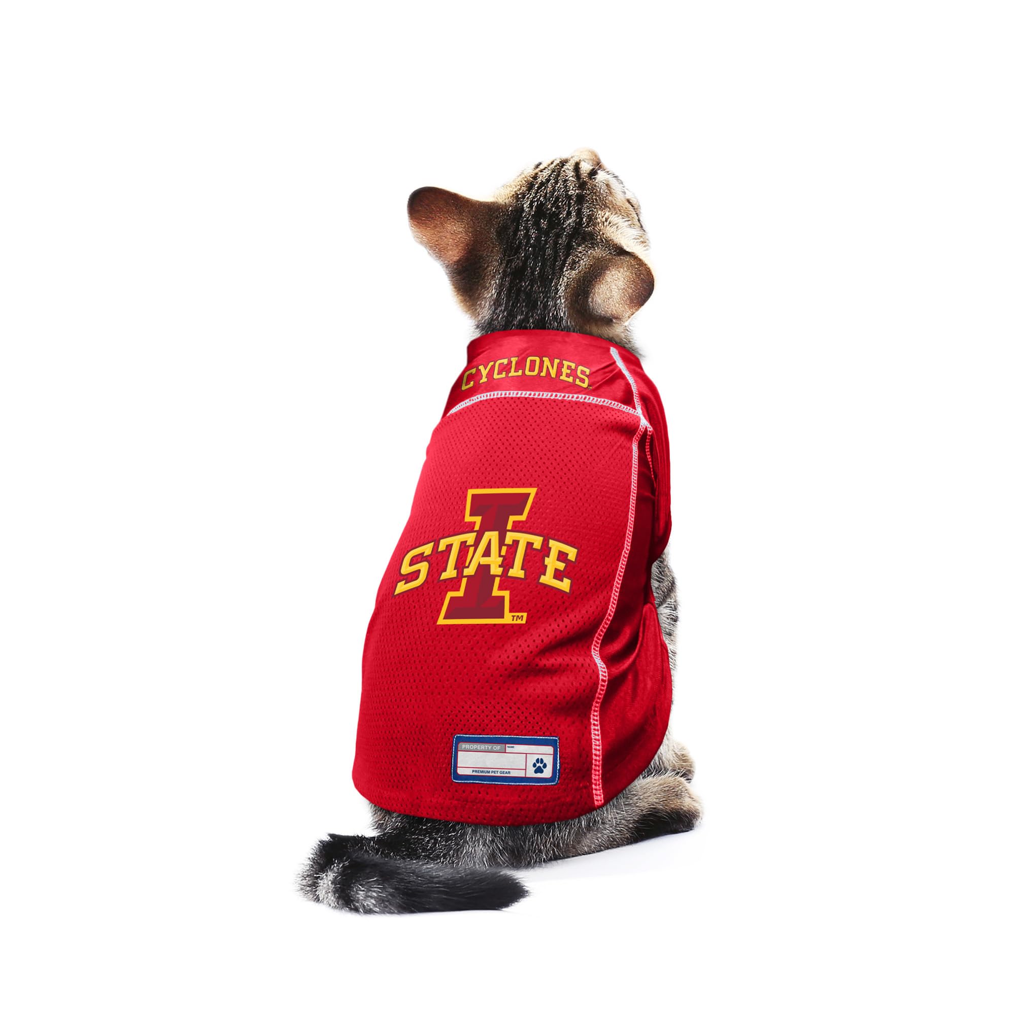 Littlearth Unisex-Adult Ncaa Iowa State Cyclones Basic Pet Jersey, Team Color, Large