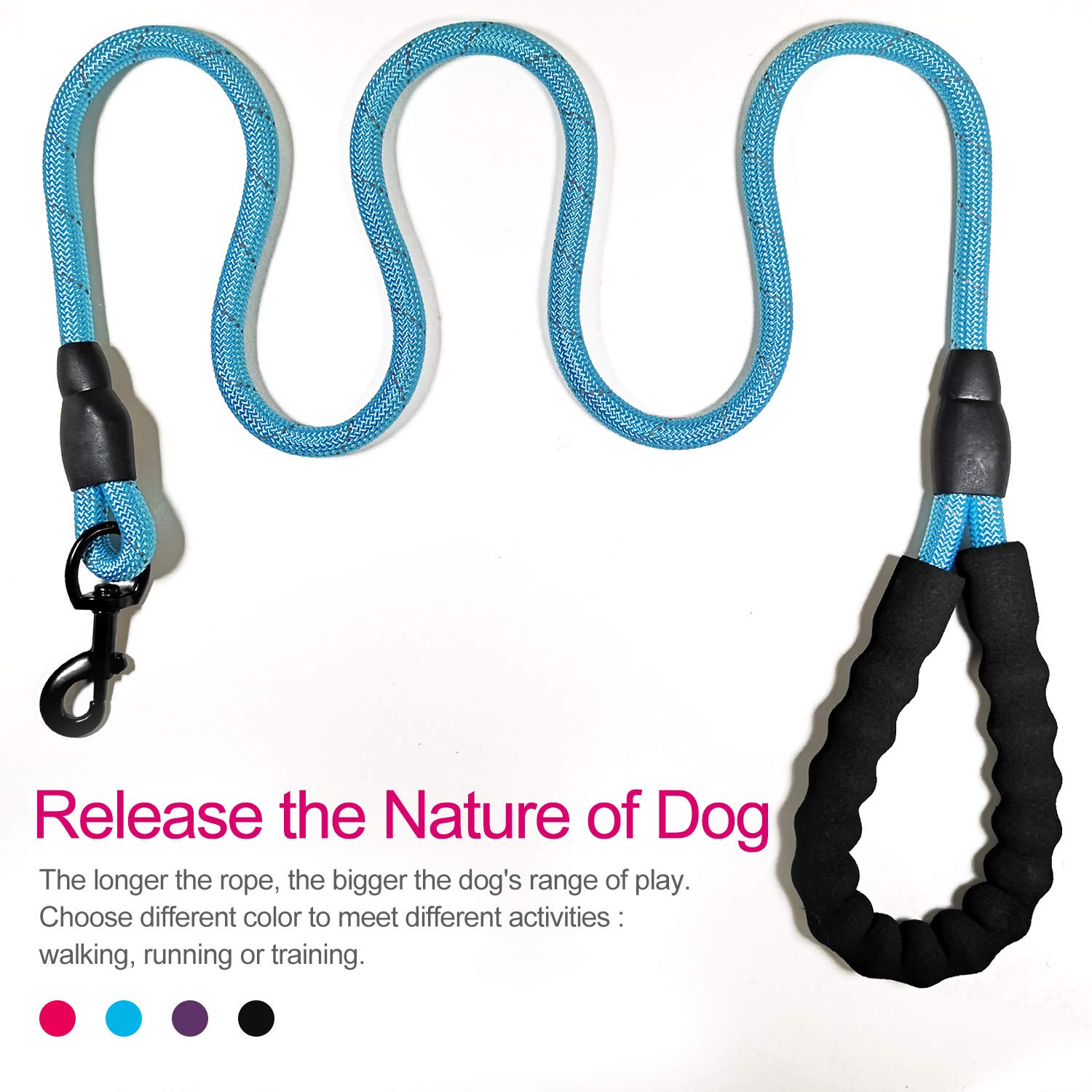 Vldco 10 Ft Strong Dog Leash Extra Heavy Duty Rock Climbing Rope Comfortable Padded Handle Highly Reflective Threads For Small Medium Large Dogs, 1/2 Inch Diameter (Blue)