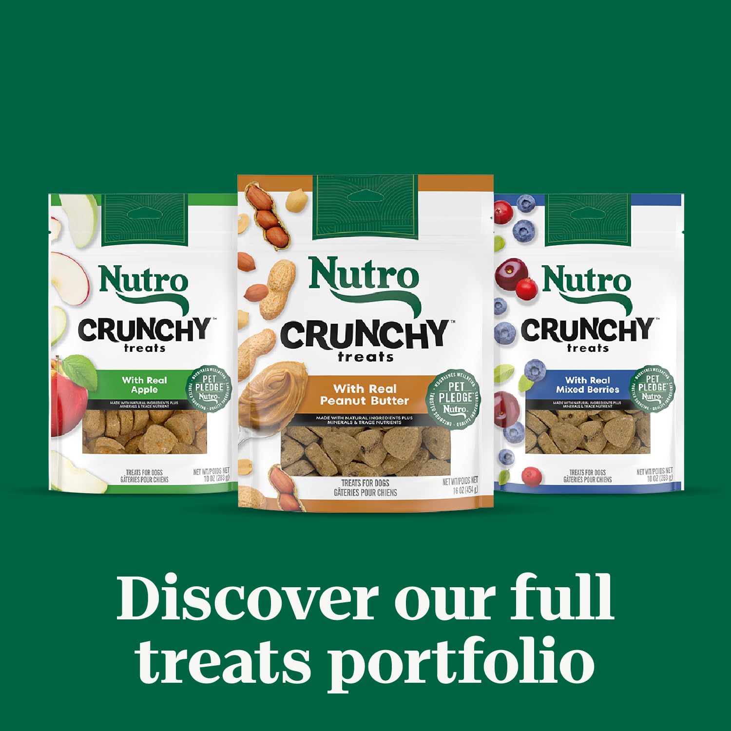 NUTRO Crunchy Dog Treats with Real Peanut Butter, 16 oz. Bag