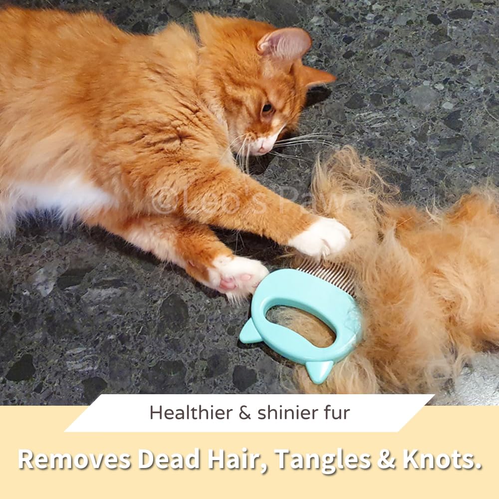 Leo's Paw Pet Hair Removal Massaging Shell Comb - Soft Deshedding Brush for Cats, Dogs, Puppies, Bunnies - Mint, 1 Count