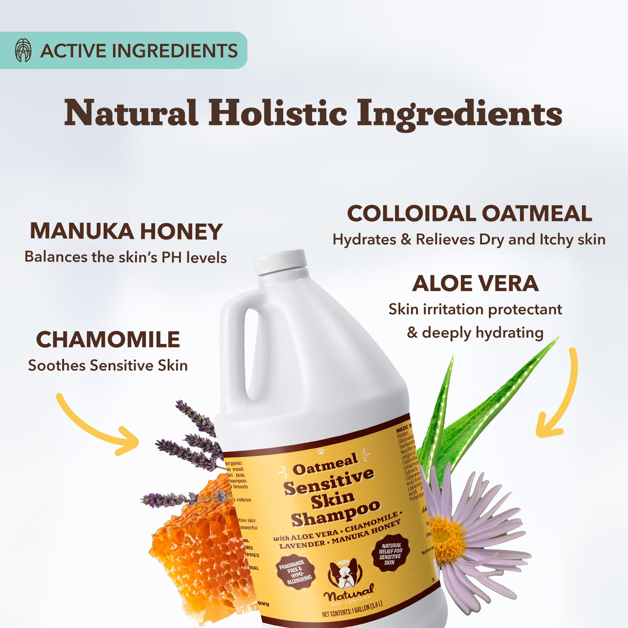 Natural Dog Company Oatmeal Sensitive Dog Gallon Shampoo, Hypoallergenic For Allergies & Itching, Cleans Conditions, Detangles &