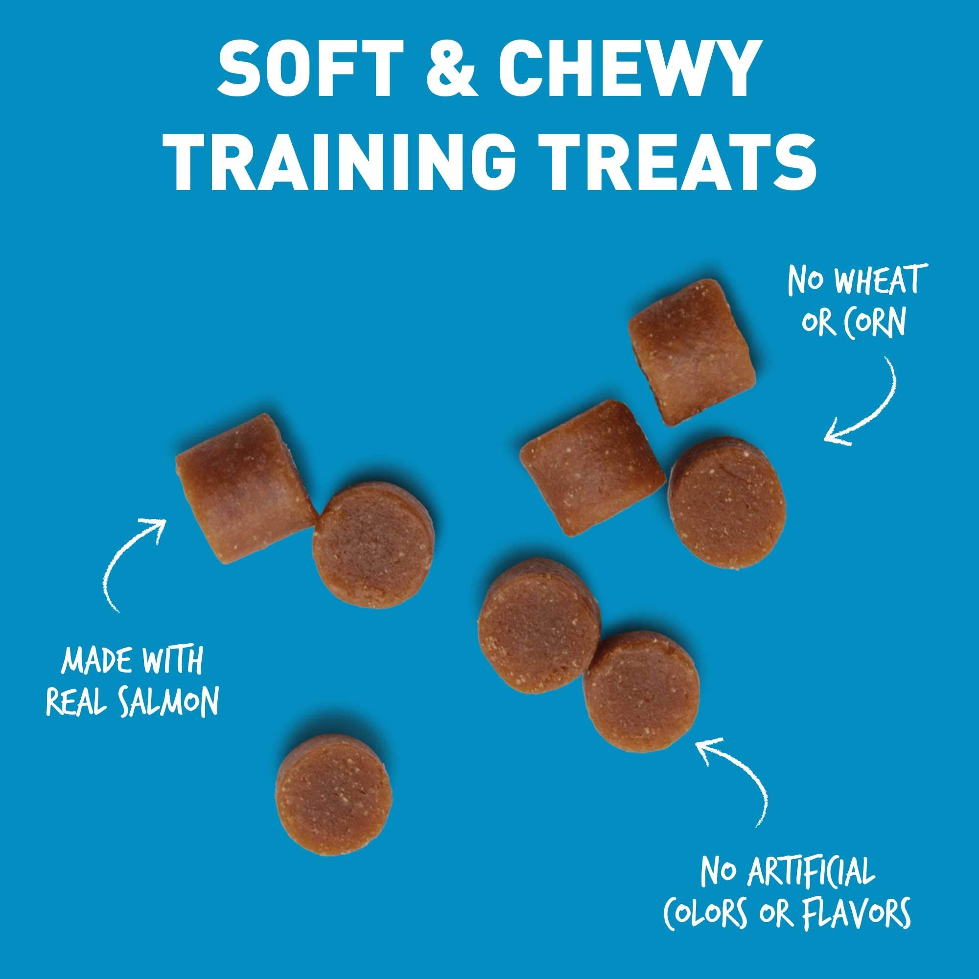 Cloud Star Tricky Trainers Chewy Dog Treats - Whole Grain Soft for Training, 14 Ounce (Pack of 2)