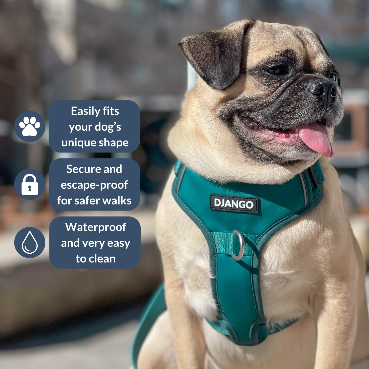 DJANGO Tahoe No Pull Dog Harness - Durable and Comfortable Neoprene Pet Harness for Dogs - Padded Pet Harness for Everyday Use -