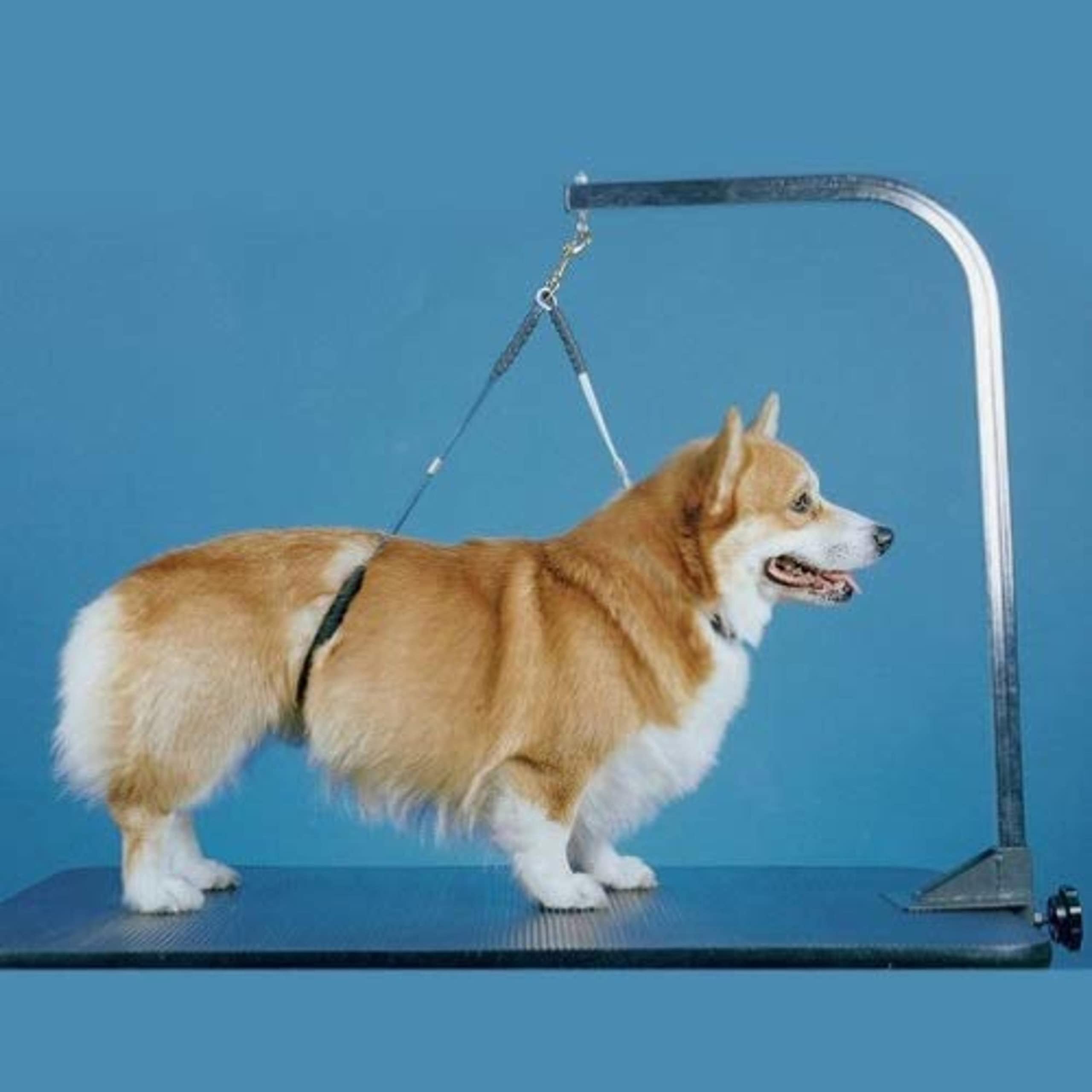 Downtown Pet Supply No Sit Haunch Holder For Dog Grooming Arm And Pet Grooming Table - Dog Grooming Supplies - Stainless Steel Hardware, Rust & Chew Resistant - 21 & 24 In - Large (Haunch Only)