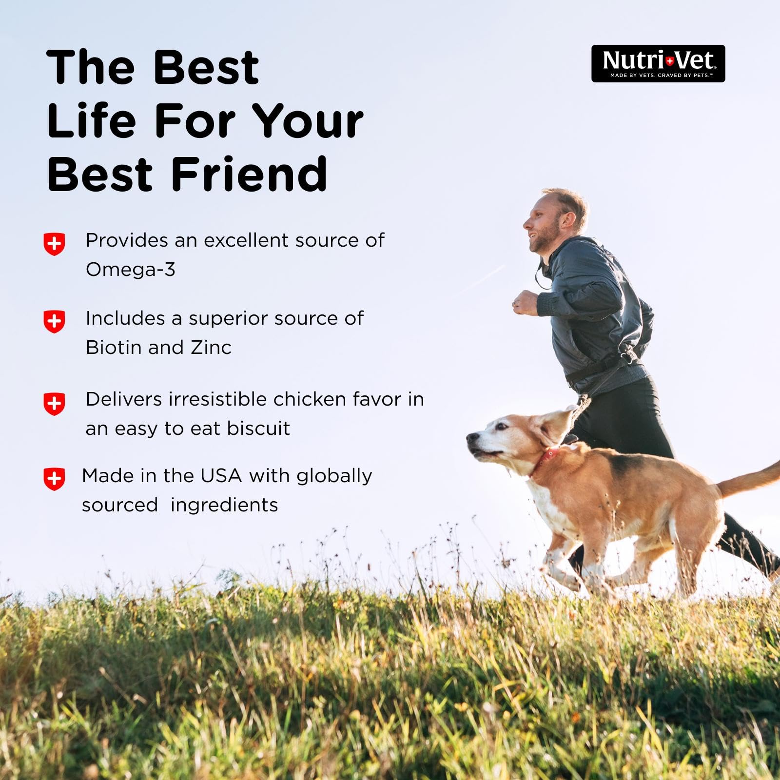 Nutri-Vet Skin & Coat Biscuits for Dogs, Tasty Dog Treat, Dog Skin and Coat Supplement, Small Sized Biscuit, Omega-3 and Biotin