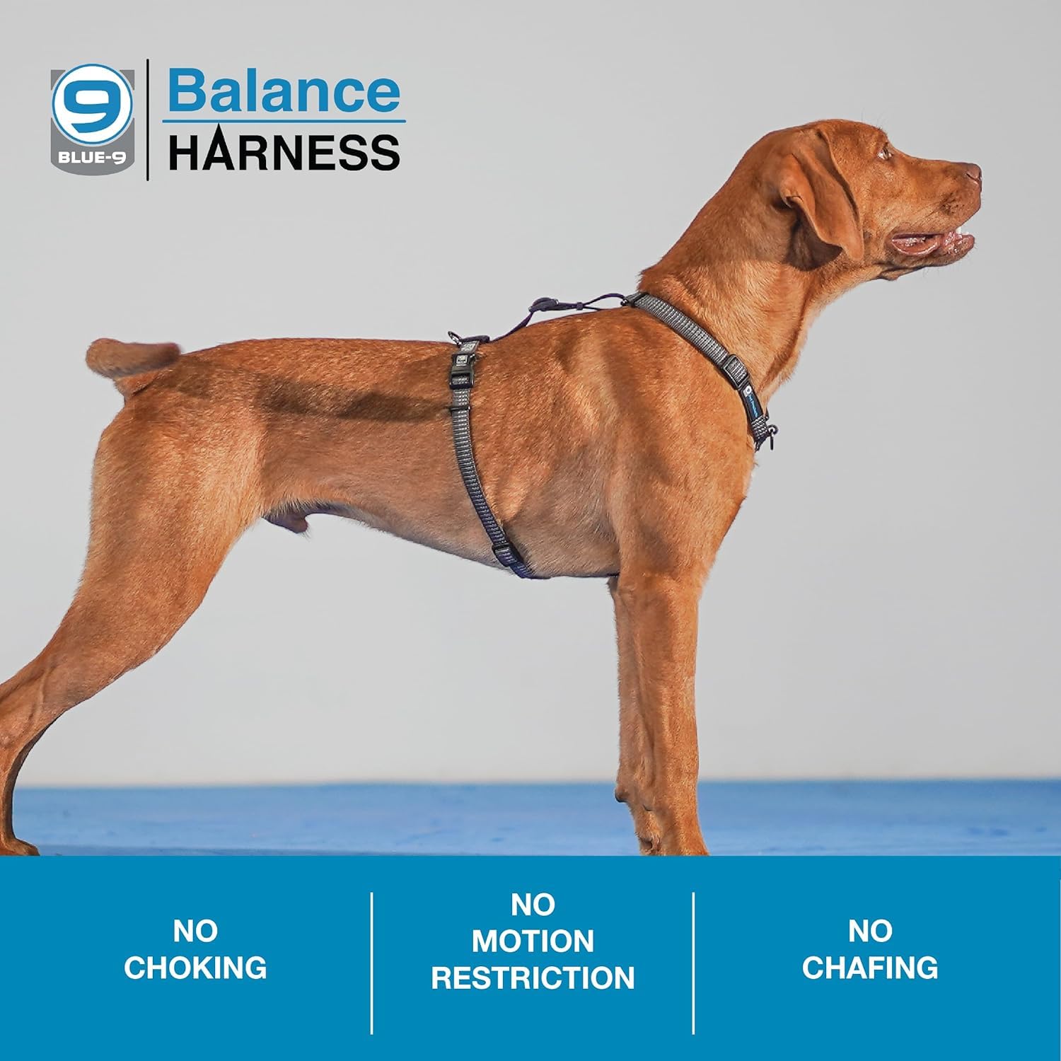 Blue-9 Reflective Buckle-Neck Balance Harness, Fully Customizable Fit No-Pull Harness With 3M Reflective Stitching, Ideal For Dog Training And Obedience, Made In The Usa, Grey, Medium