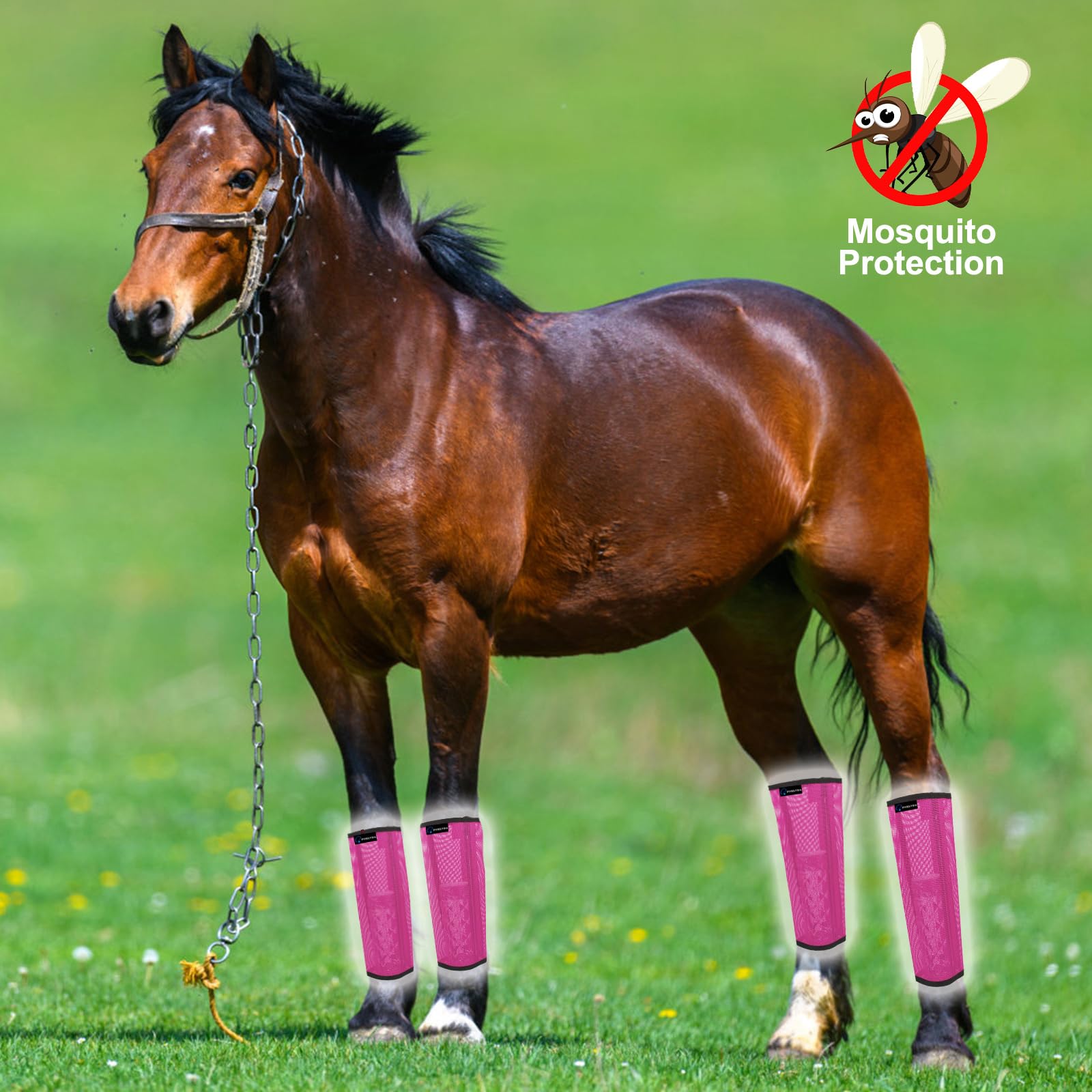 Foxlvda Horse Fly Boots - Fly Boots For Horses Set Of 4, Comfortable Horse Leggings, Mesh Material Design With Metal Support Bar