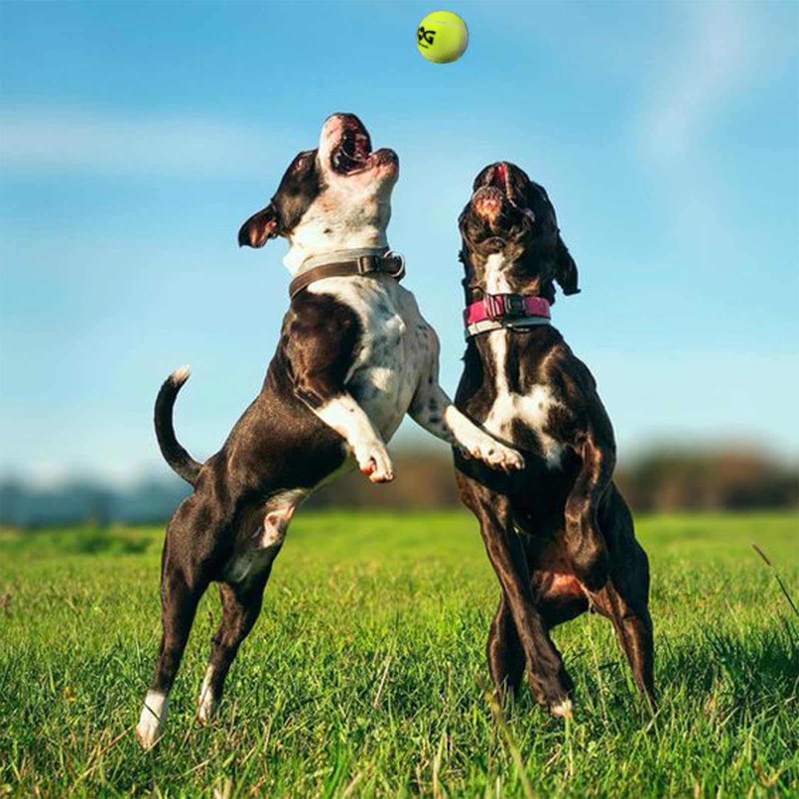 Insum Squeaky Dog Balls - Squeaky Tennis Balls For Dogs, Yellow | Medium - 2.5'', 4Pack