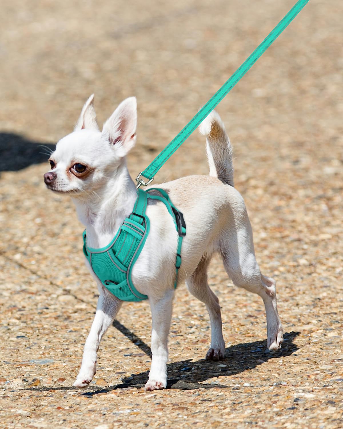 Joytale Step-In No Pull Dog Harness For Puppy Small Dogs With 2 Leash Clips, Reflective Pet Vest With Easy Control Handle, Adjus