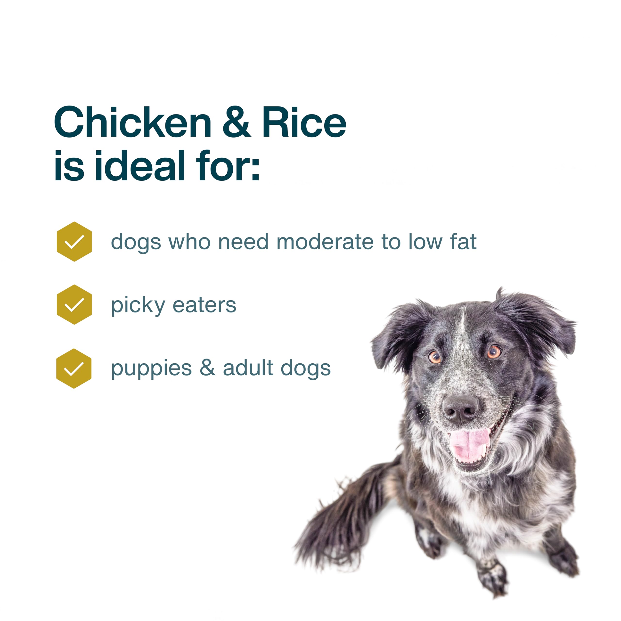 JustFoodForDogs Frozen Fresh Dog Food, Complete Meal or Dog Food Topper, Chicken & Rice Human Grade Dog Food Recipe, 72 oz (Pack