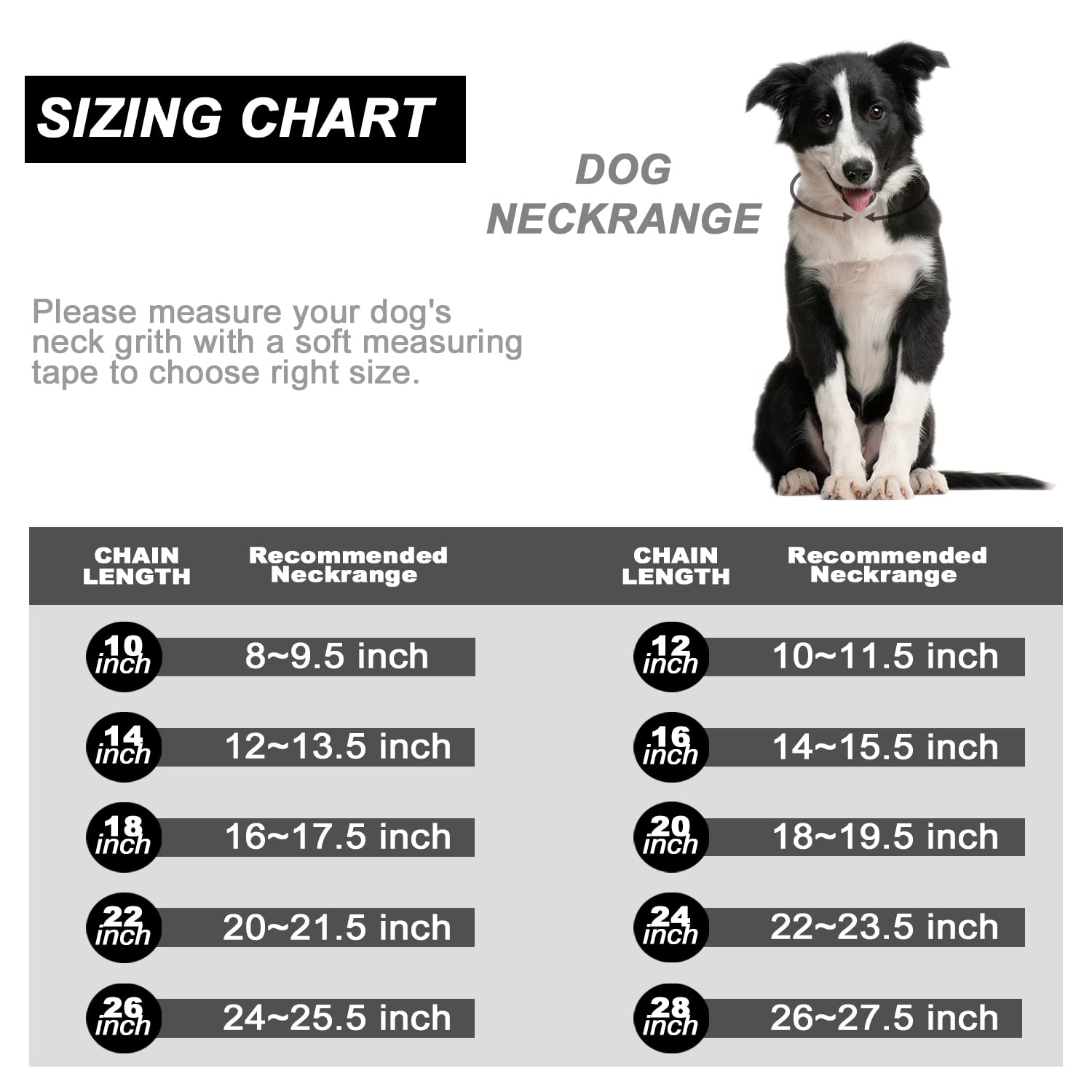 Pradog Dog Collar With Zirconia Locking 19Mm Hand Polished Stainless Steel Metal Puppy Collar Luxury Dog Bling Necklace Small Medium (19Mm, 22')