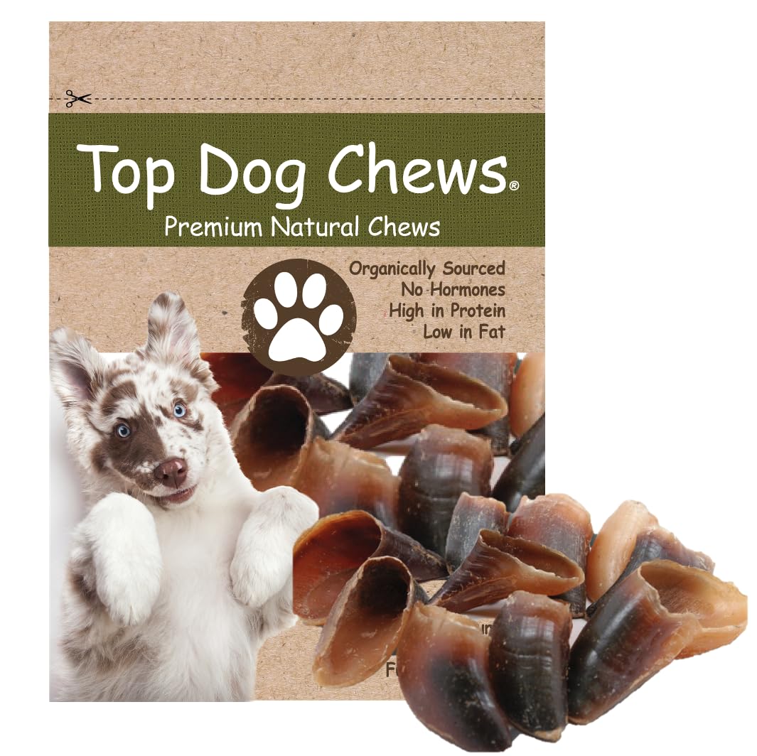 Top Dog Chews - Cow Hooves, 10 Pack, Natural Dog Bone, for Large, Medium, or Small Dogs, Made in USA