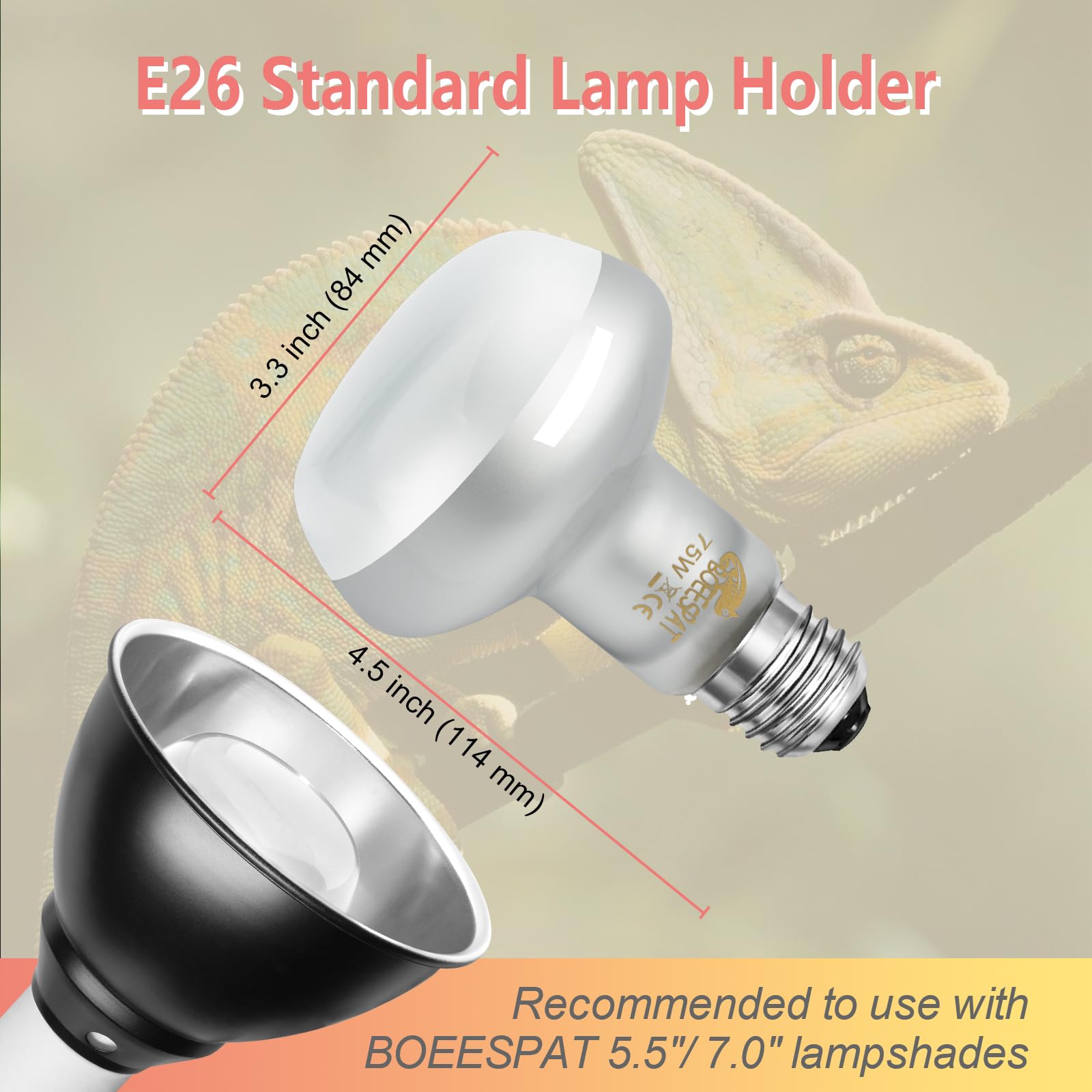 BOEESPAT Intense 75W UVA Daylight Heat Lamp Bulbs for Basking - Simulated Sunlight Perfect for Desert-Dwelling Reptiles and Amph