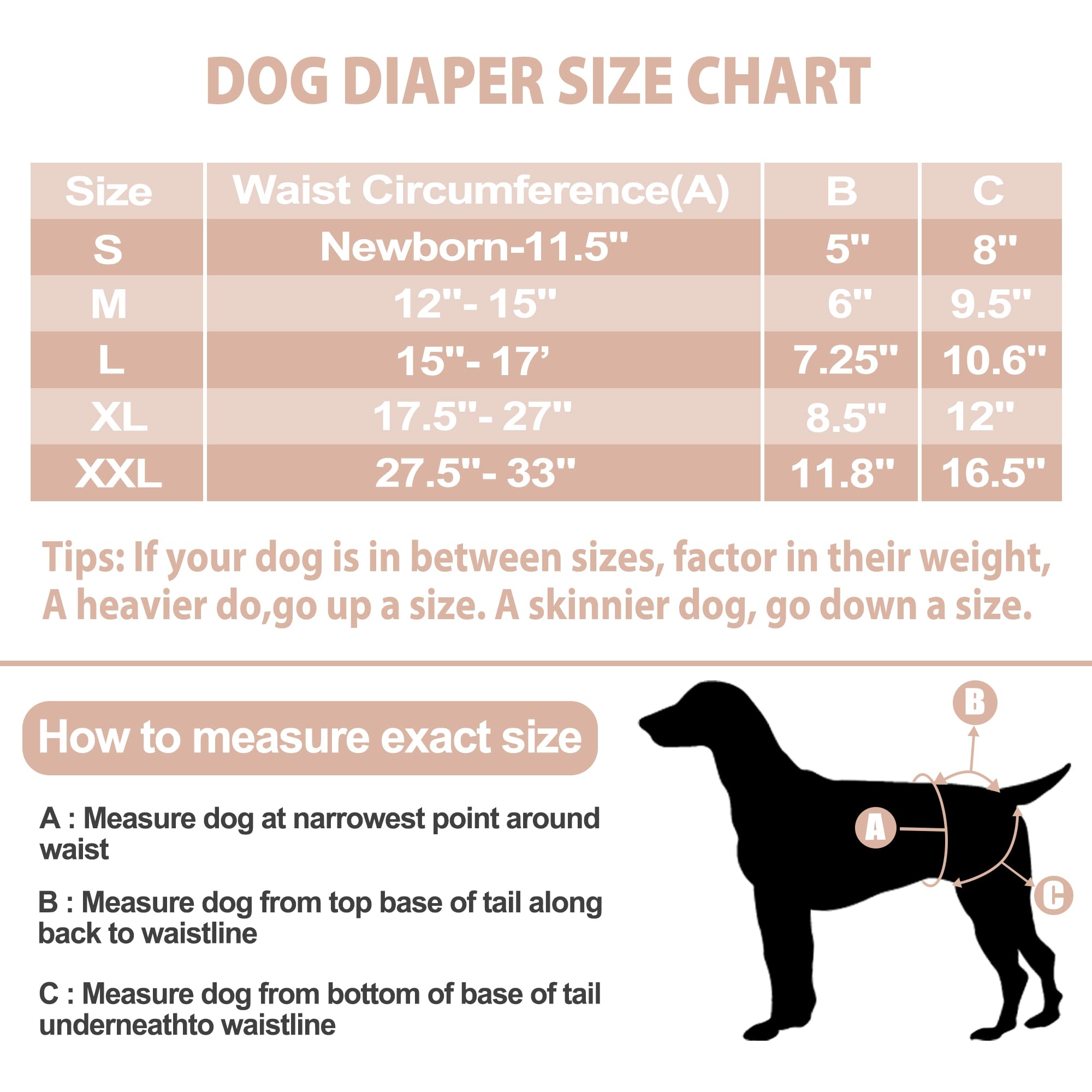 Langsprit Frenchie Female Dog Diapers No Tail Hole,Reusable Puppy French Bulldog Diapers Female for Period Heat,Washable Small M