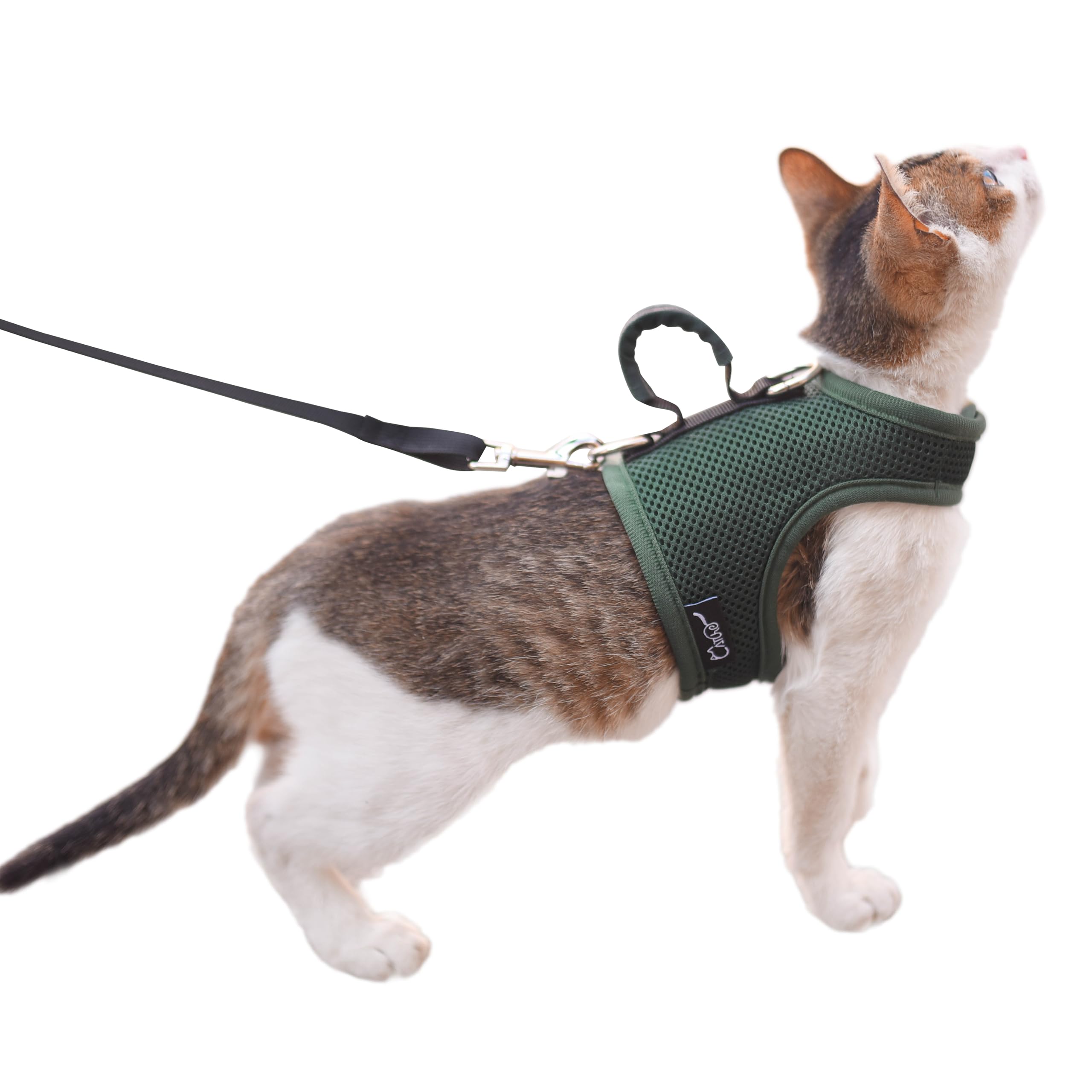 Cat Harness And Leash For Walking Escape Proof Breathable Mesh Fabric, Solid Green, Xx-Large, Adjustable Cat Walking Jackets Wit