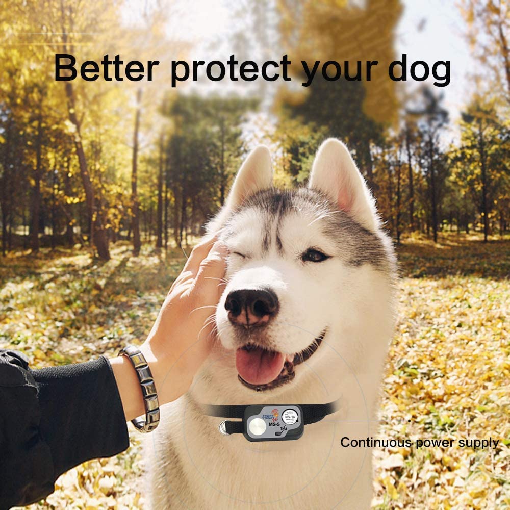 Abeden B3V 1A Lithium Replacement Batteries Compatible With High Tech Pet Single Electronic Collar Battery For Model Ms-4 And Ms-5(4 Pack)