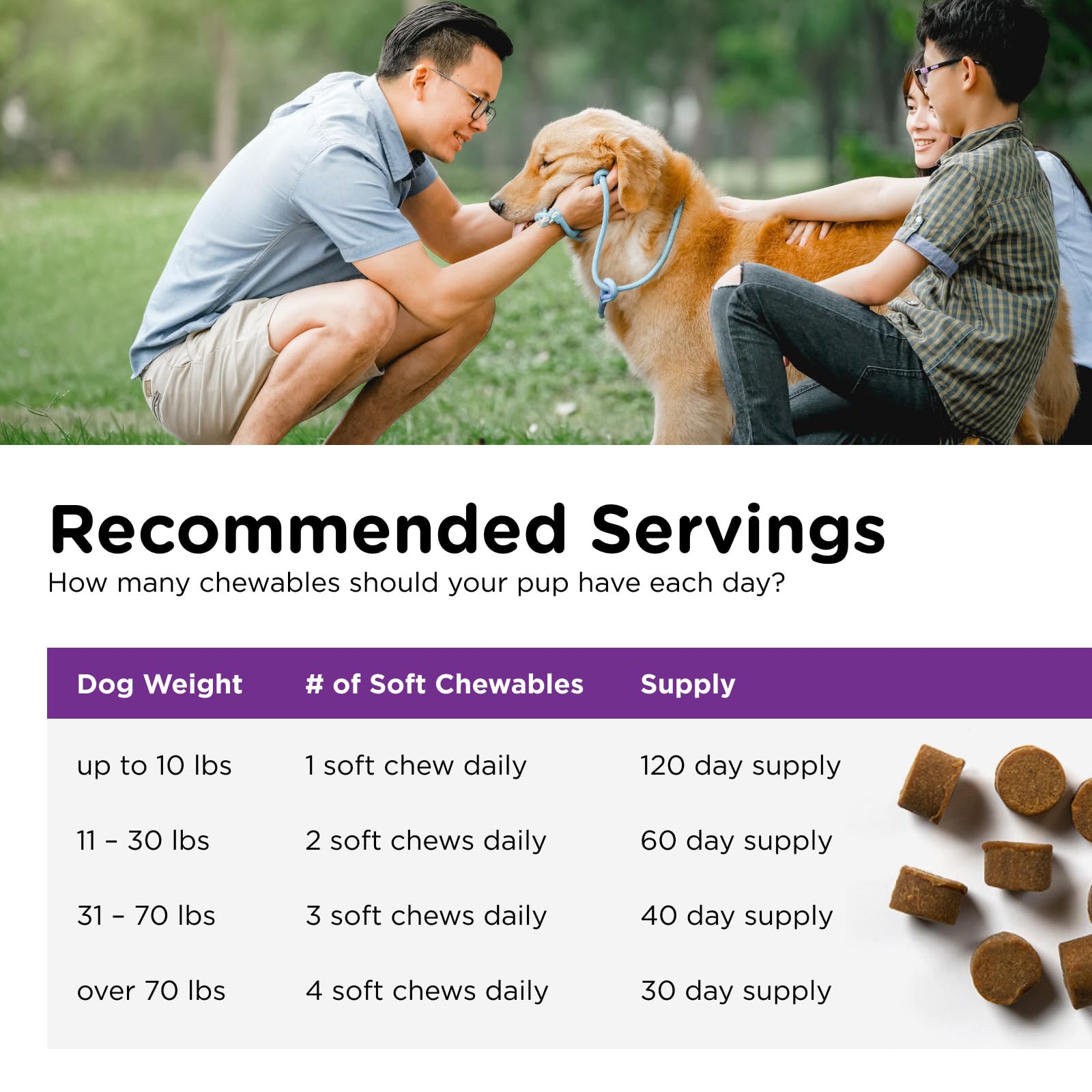 Nutri-Vet Pre and Probiotic Soft Chews for Dogs | Digestive Health Support | Tasty Alternative to Probiotic Powder | 120 Soft Ch
