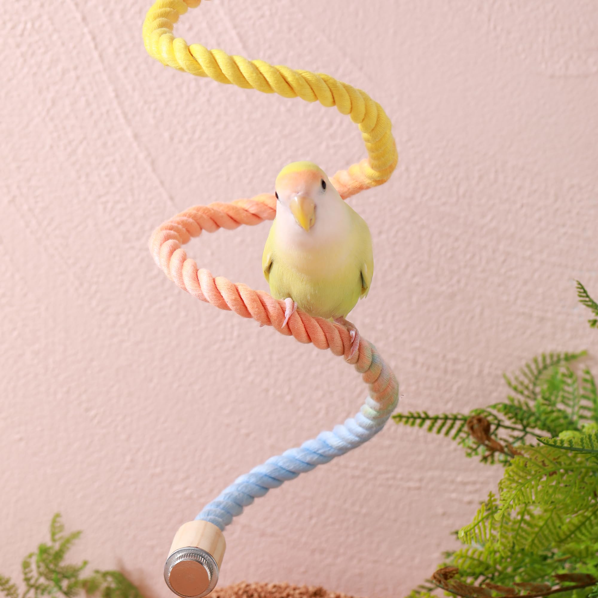 Tafit Multi-Color Rope Bird Perch Toys for Parrot Cage Stand, Climbing Swing Accessories for Cockatiel, Parakeets, Budgies, Love