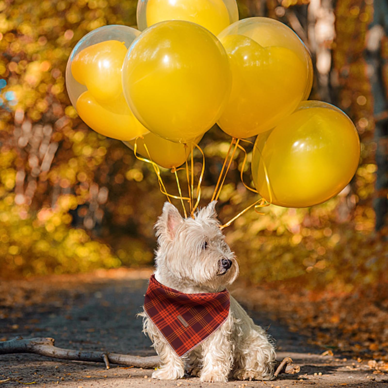 Lionheart Glory Plaid Dog Scarf, Washable Soft Bandana For Small To Large Dogs, Boys & Girls