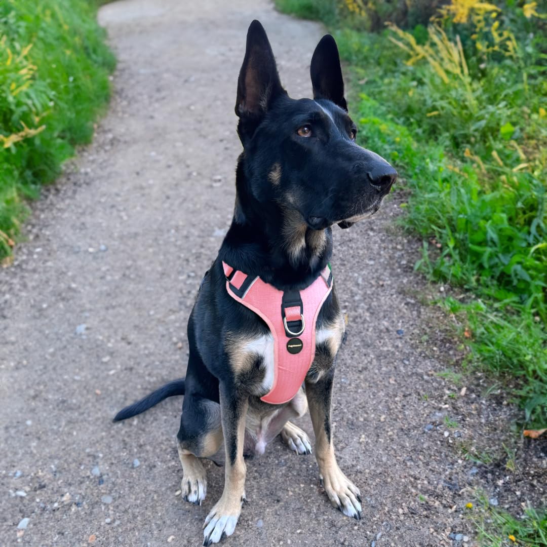 Pupsensei No Pull Dog Harness - Durable Polyester Puppy Harness With Front Anti-Pull Loop, Reflective Strips, And Quick-Release