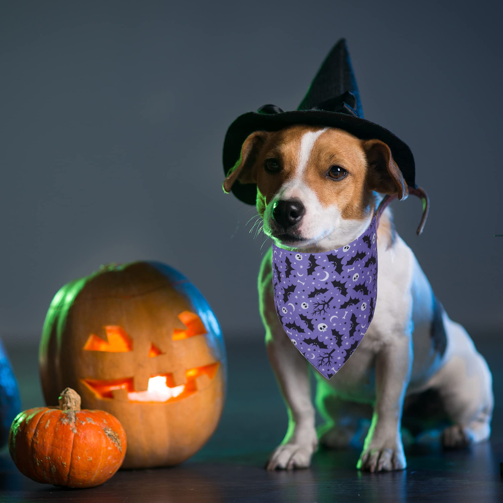 Adoggygo 2 Pack Halloween Dog Bandanas, Reversible Triangle Dog Scarf Accessories Halloween Bandanas For Large And Extra Large Dogs Pets (X-Large, Halloween-2)