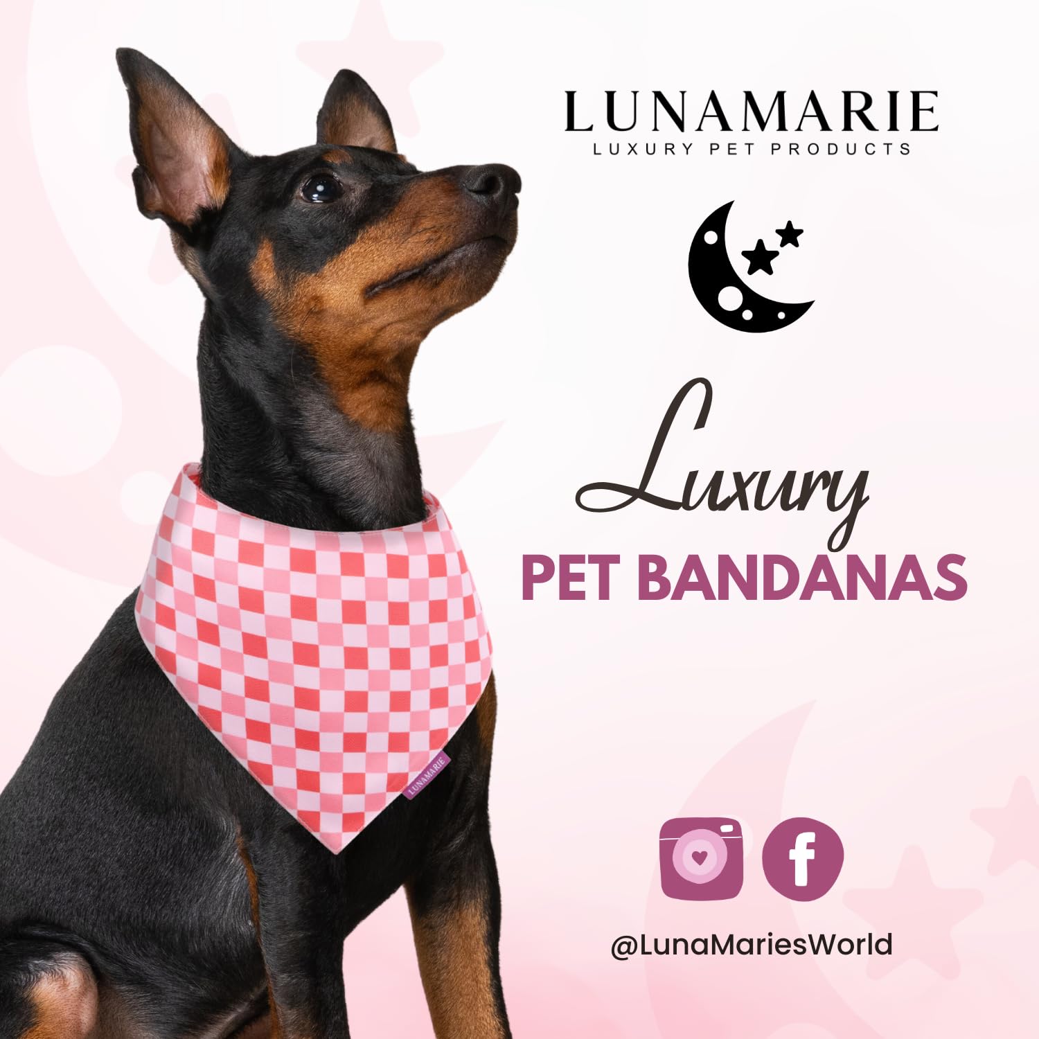 LunaMarie - Luxury Pet Birthday Bandanas -Premium & Silky Poly Fabric | 100% Handmade | Custom Shape Dual Layered (Rebel, X-Smal