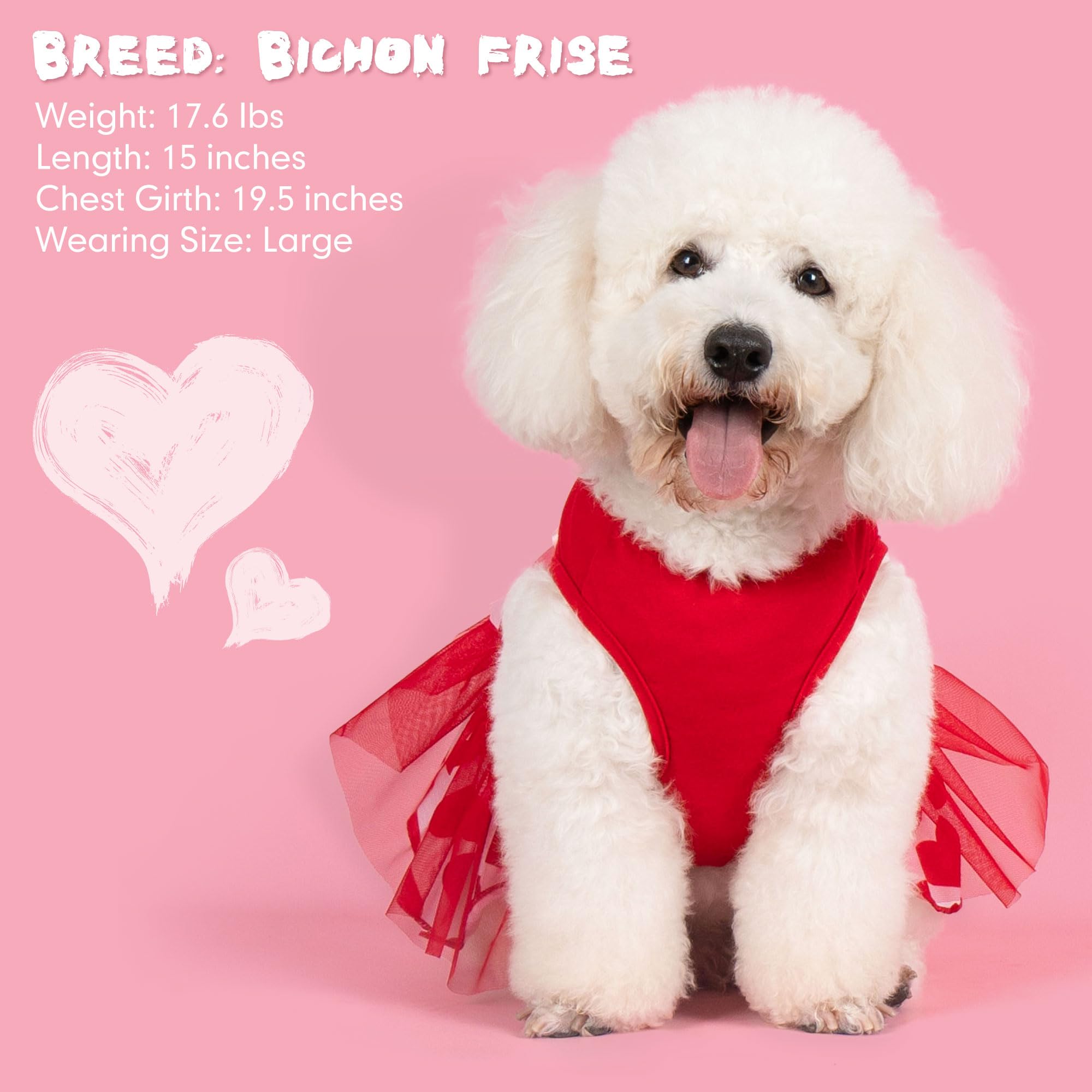 Cyeollo Valentine'S Day Dog Dress Holiday Dog Clothes Heart Print Tulle Doggie Dresses For Small Dogs Girls Party Outfit Puppy C