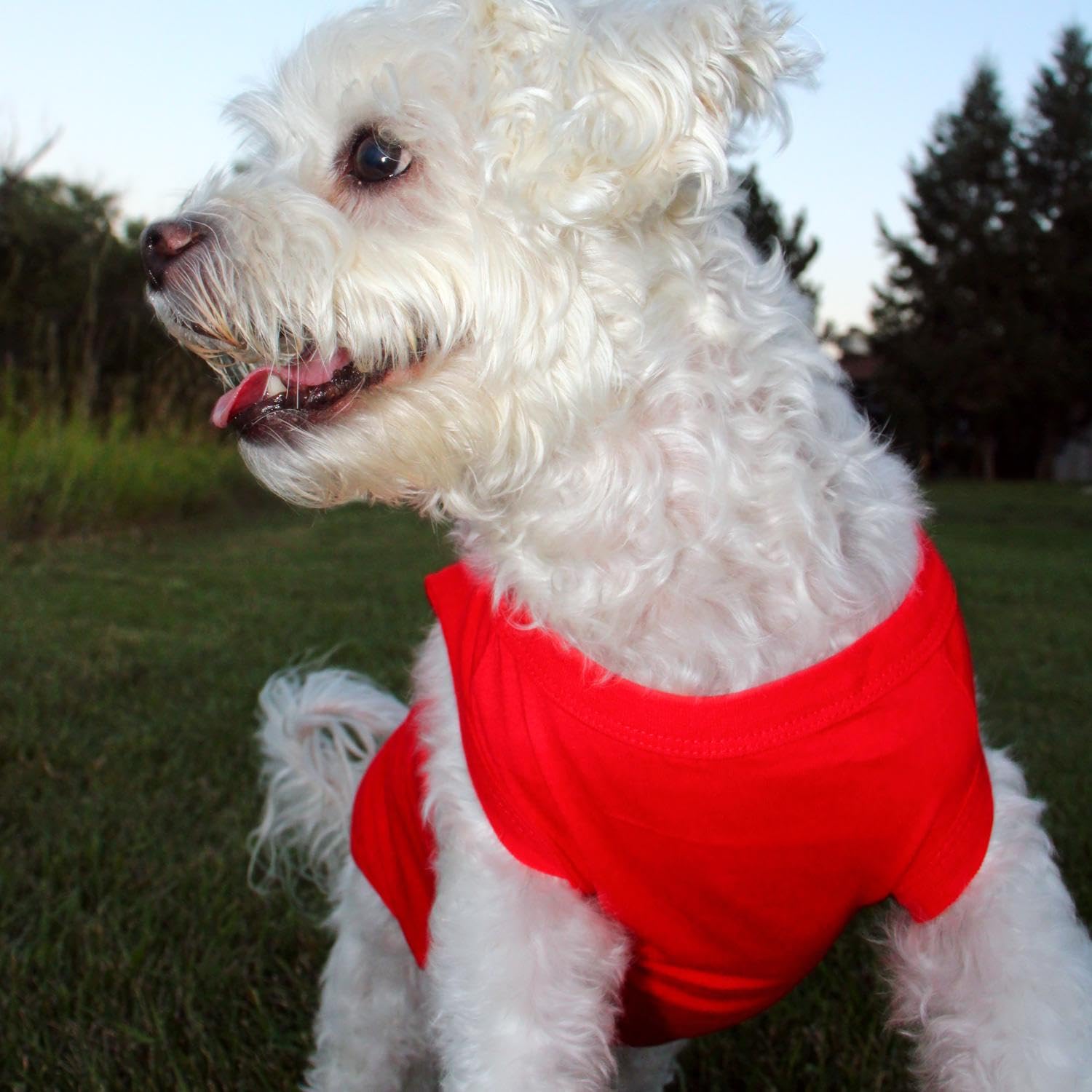 Doggie Design Cotton Dog Tank (Flame Scarlet Red, L)