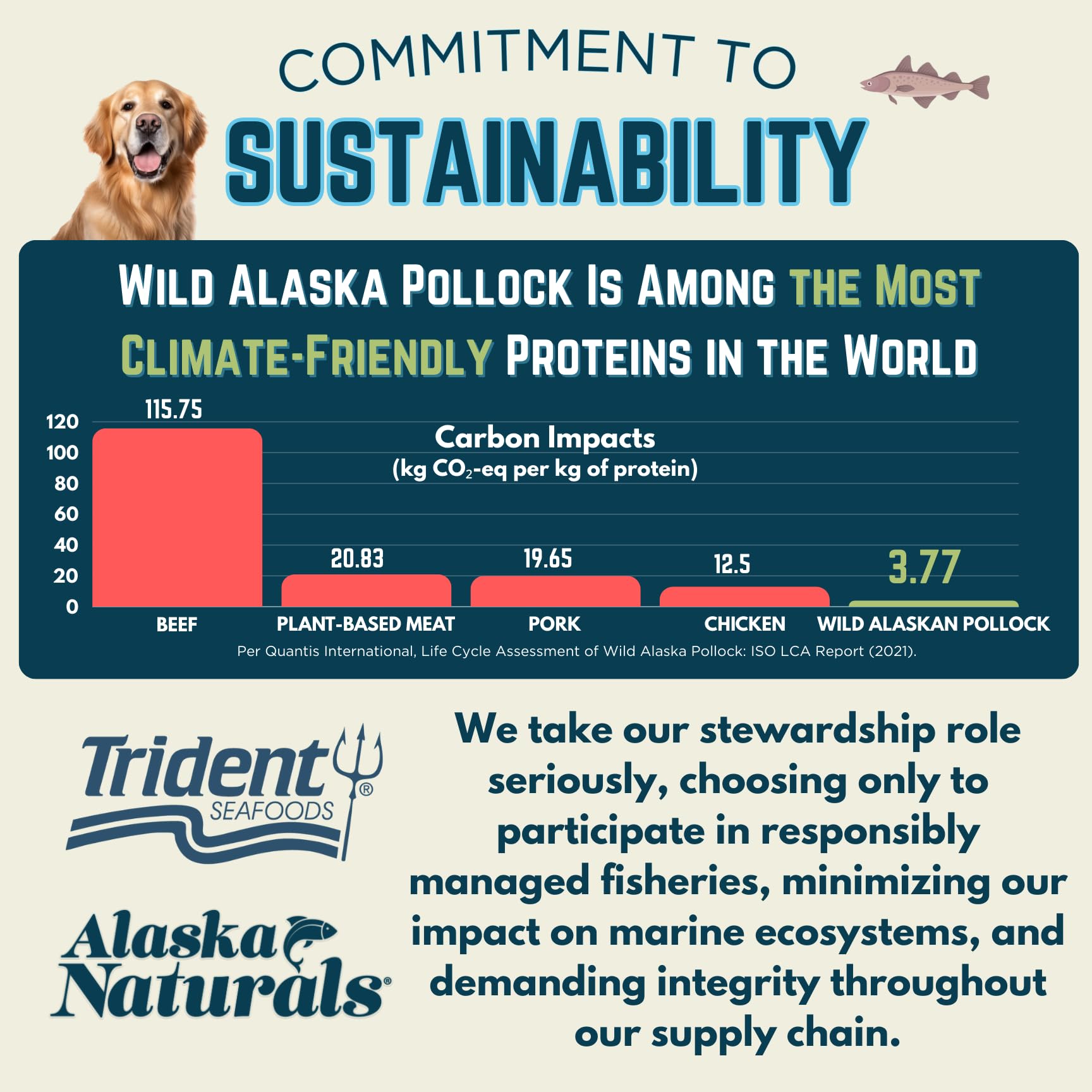 Alaska Naturals Wild Alaskan Fish Oil Supplement for Dogs Skin and Coat with EPA DHA Omega 3 Fatty Acids Sustainable Liquid Food