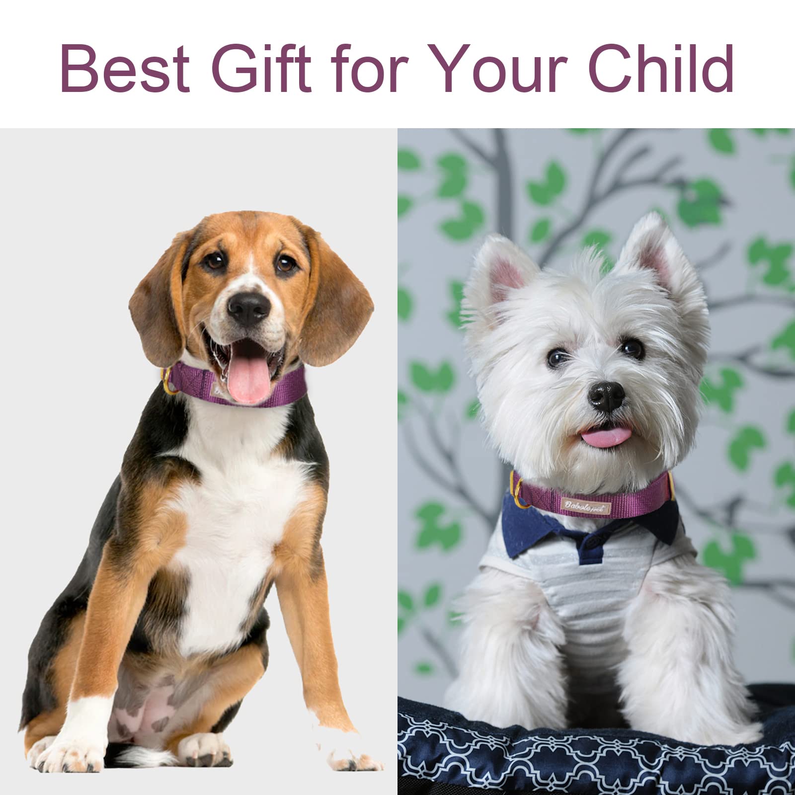 Babole Pet Nylon Dog Collar - Adjustable Deep Purple Soft Webbing Dog Collars For Small Medium Large Dogs Boy Girl Puppy Collar