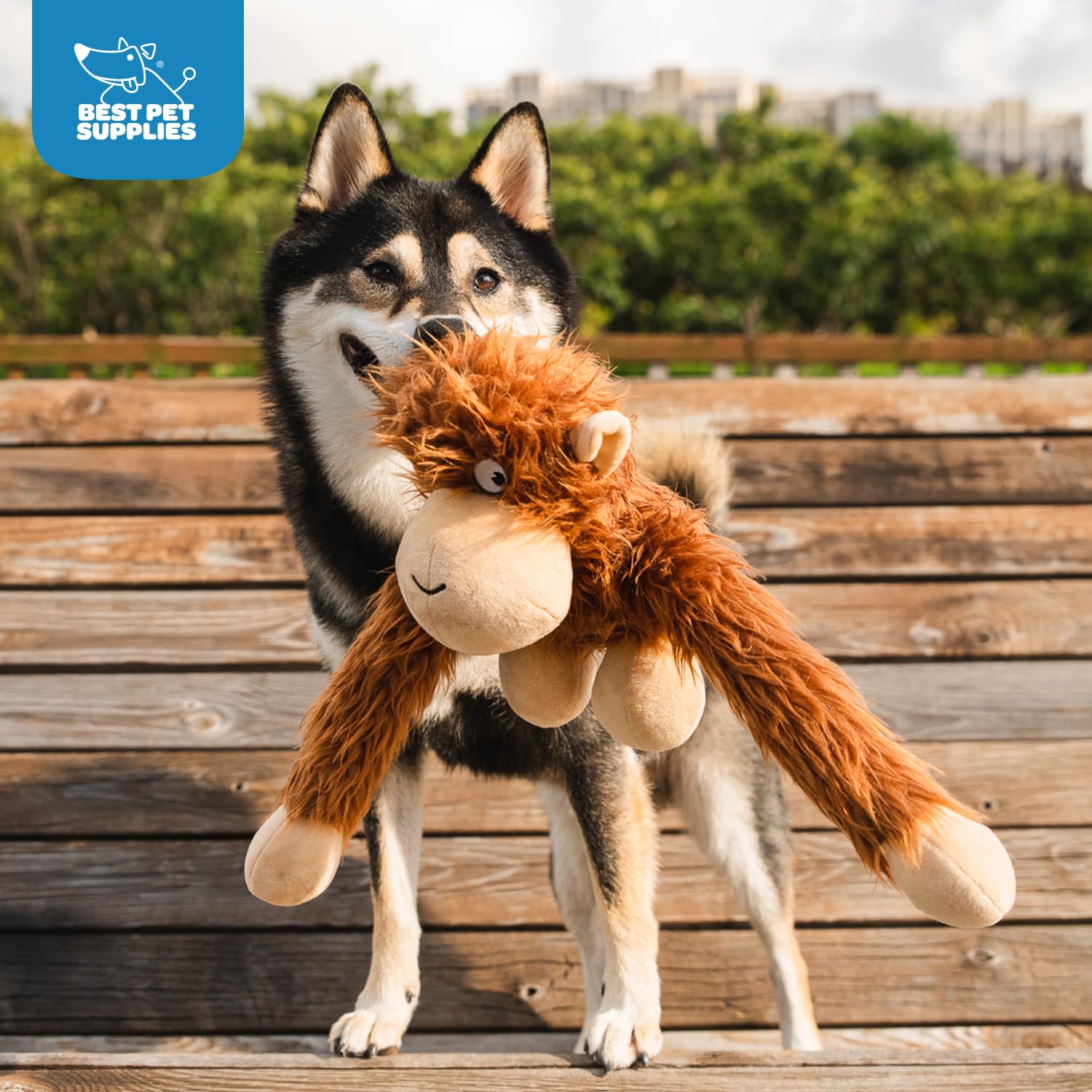 Best Pet Supplies O-Hug-Atan Interactive Squeaky Plush Toy For Small And Medium Breed Puppies Or Dogs - O-Hug-Atan (Brown)