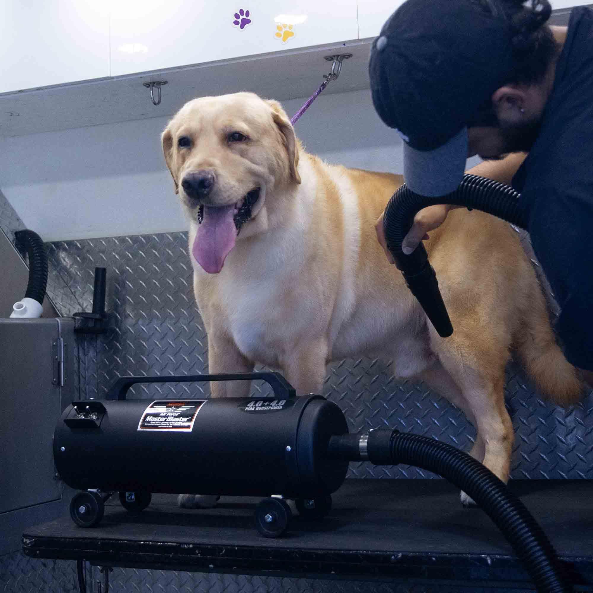 Metrovac Mb-3 Air Force Blaster Pet Dryer, Professional Blower, Efficient Cleaner, 4.0 Peak Hp Twin Fan Motors 120V, 10 Ft Comme