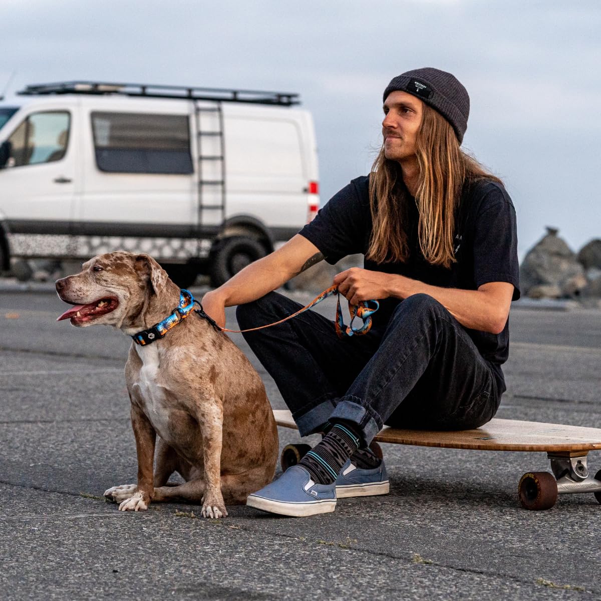 Wolfgang Heavy Duty Dog Leash, Large 1 x 6', Pull-Tested 800 lbs, SunsetPalms Print, Ideal for Walking & Training