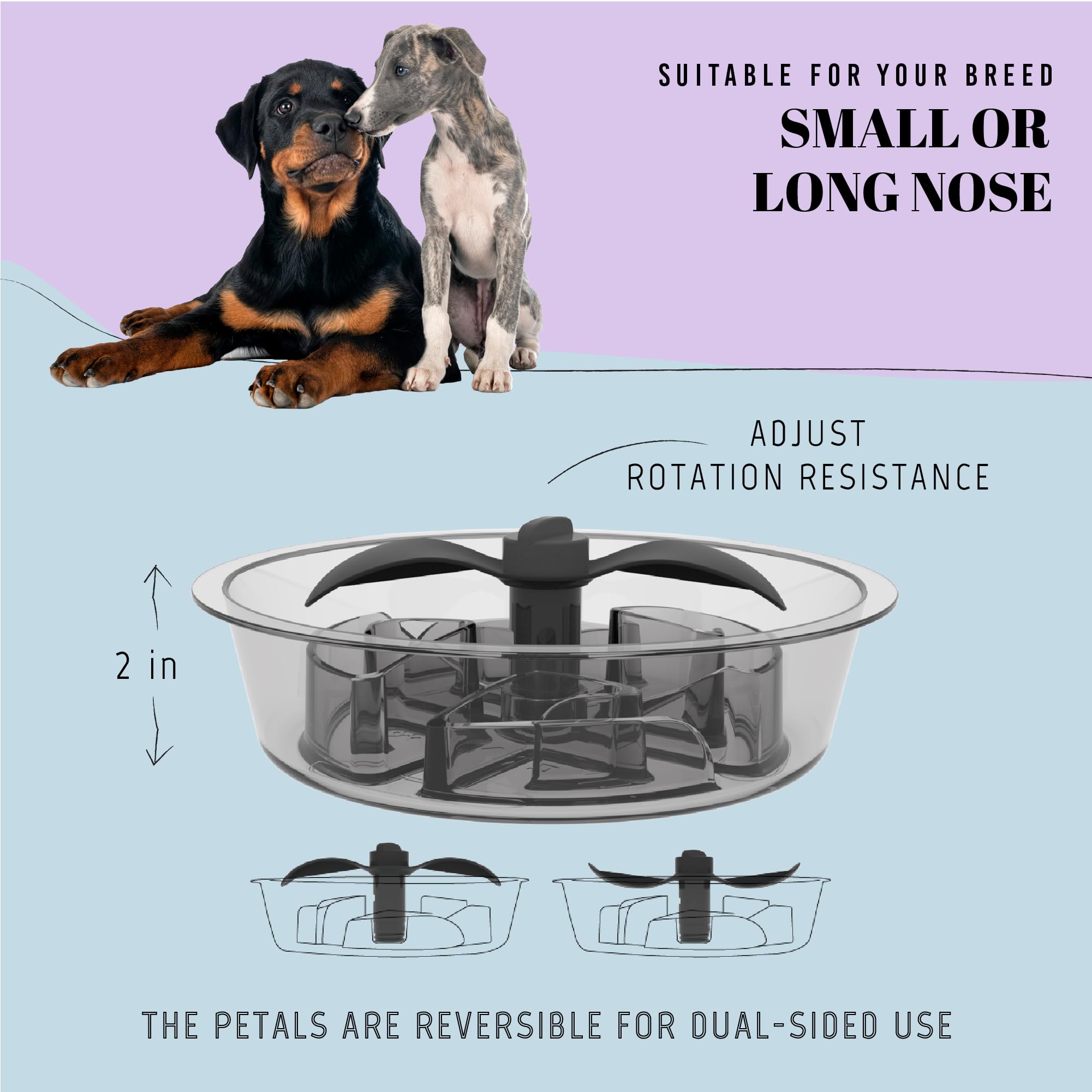 AVERYDAY Slow Feeder Dog Bowls for Medium Breed, 1.5 Cups Engagement Food Puzzle Bowl with Spinning Slow Feeder Insert, Non-Slip