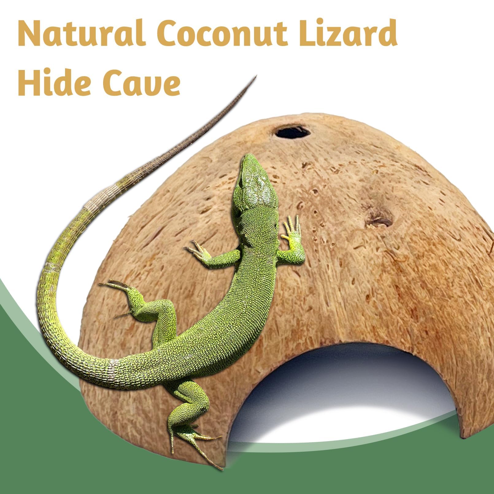 Pinvnby 2 Pcs Natural Coconut Reptile Hideouts Lizard Coco Hut Hermit Crab Hut Aquarium Fish Hide Cave Spider Snail Climber Toys