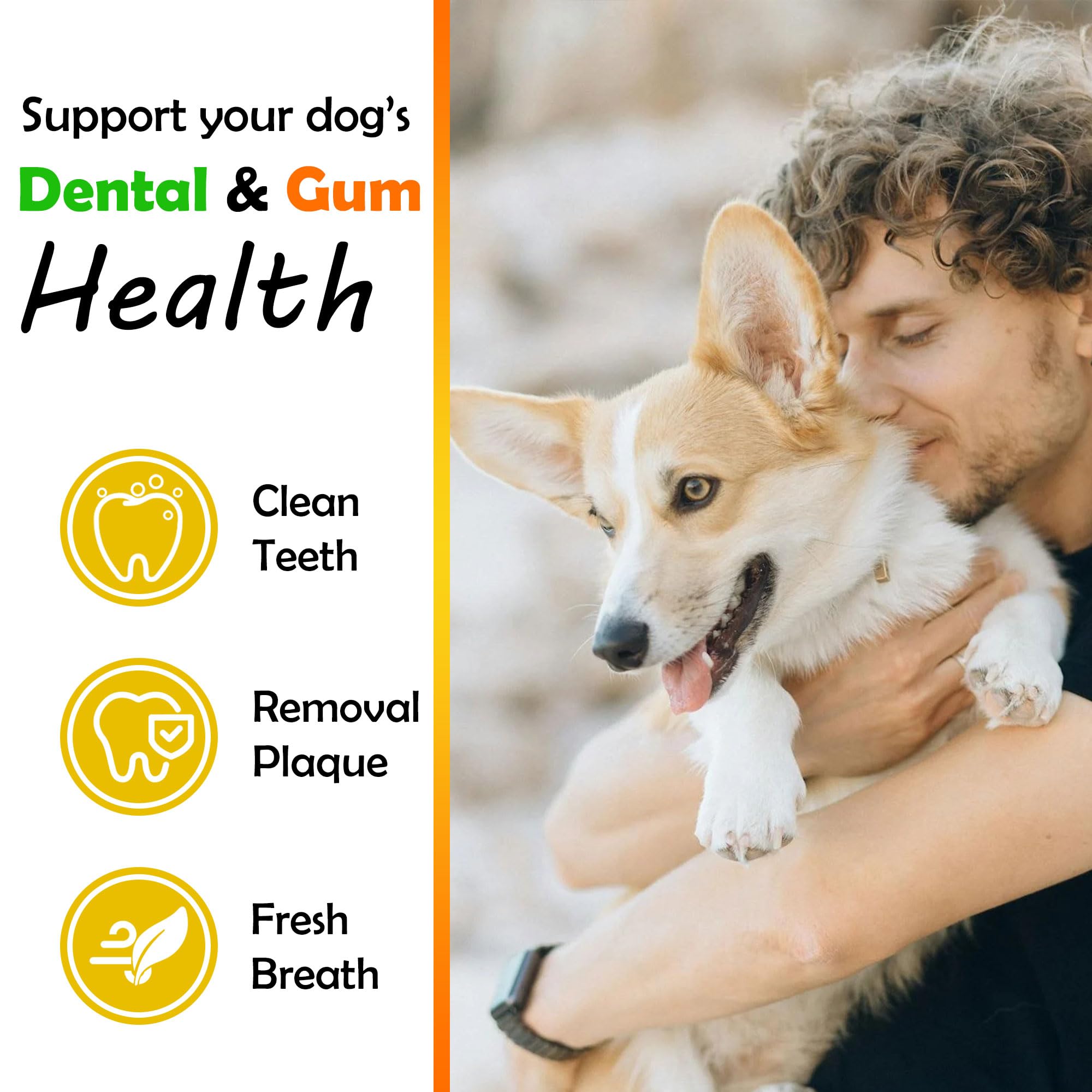 Ruidehut Senior Dog Dental Supplement Powder - Tartar Removal, Joint & Digestive Support, 2.82 oz, White/Yellow, Model JYF-TY807