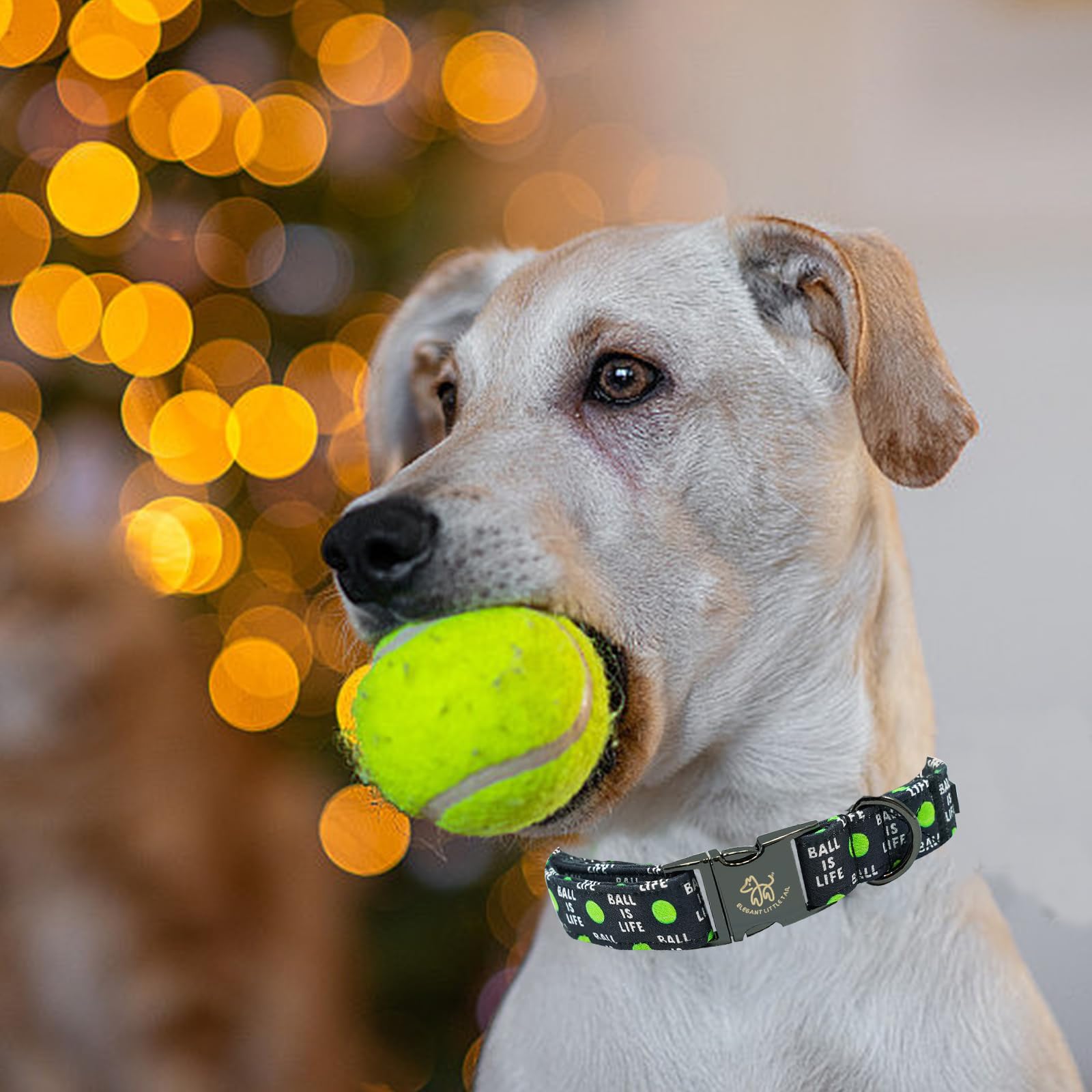 Elegant Little Tail Dog Collar, Holiday Pet Collar Boy Dog Collar Durable Dog Collars Ball Print Soft Pet Gift Adjustable Dog Co