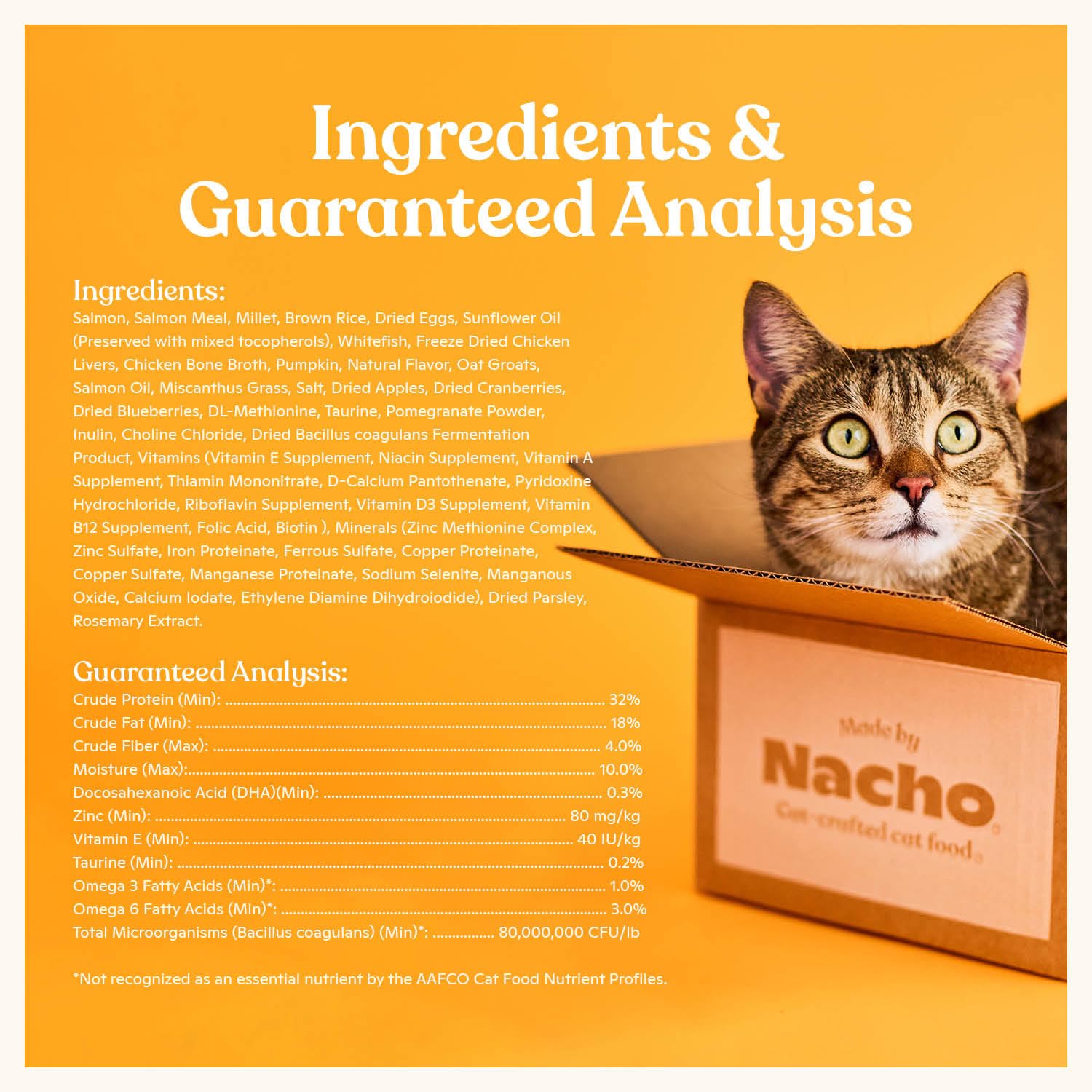 Made by Nacho Dry Cat Kibble 4lb Bag, High Protein Premium Cat Food with Freeze Dried Pieces, Sustainably-Caught Salmon, Whitefi